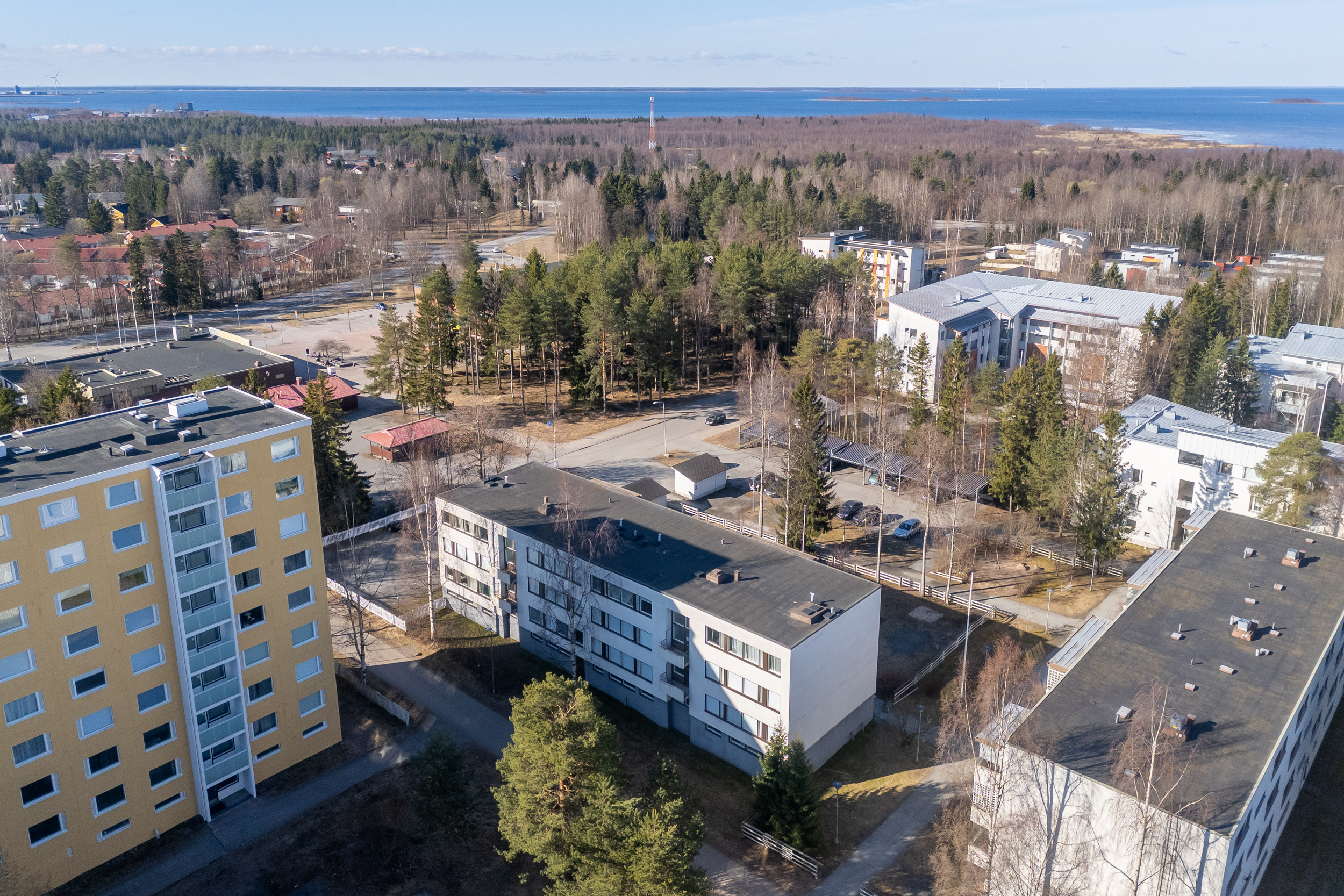 Tervakukkakuja 7, Rajakylä, Oulu