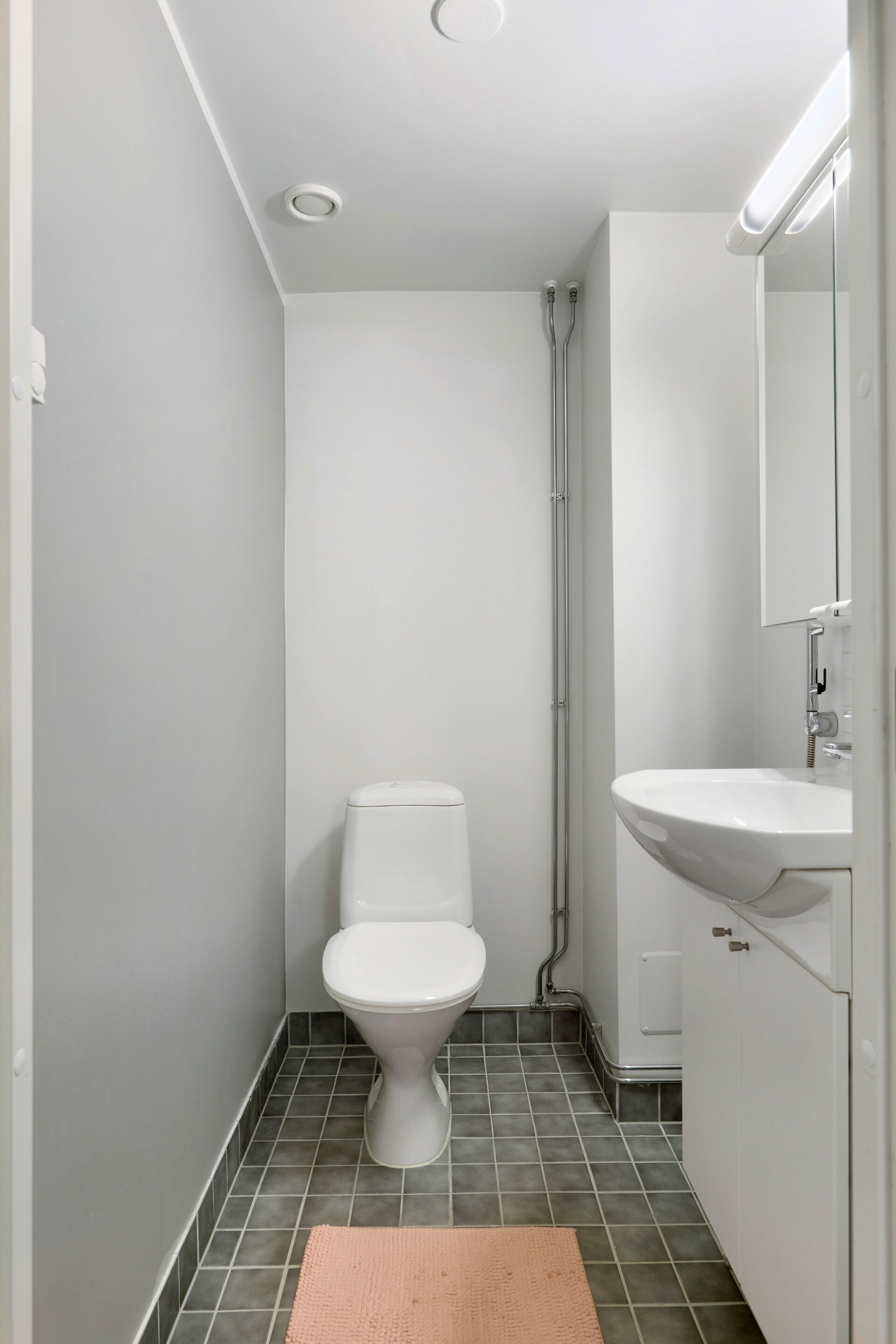 Alakerran erillinen wc.