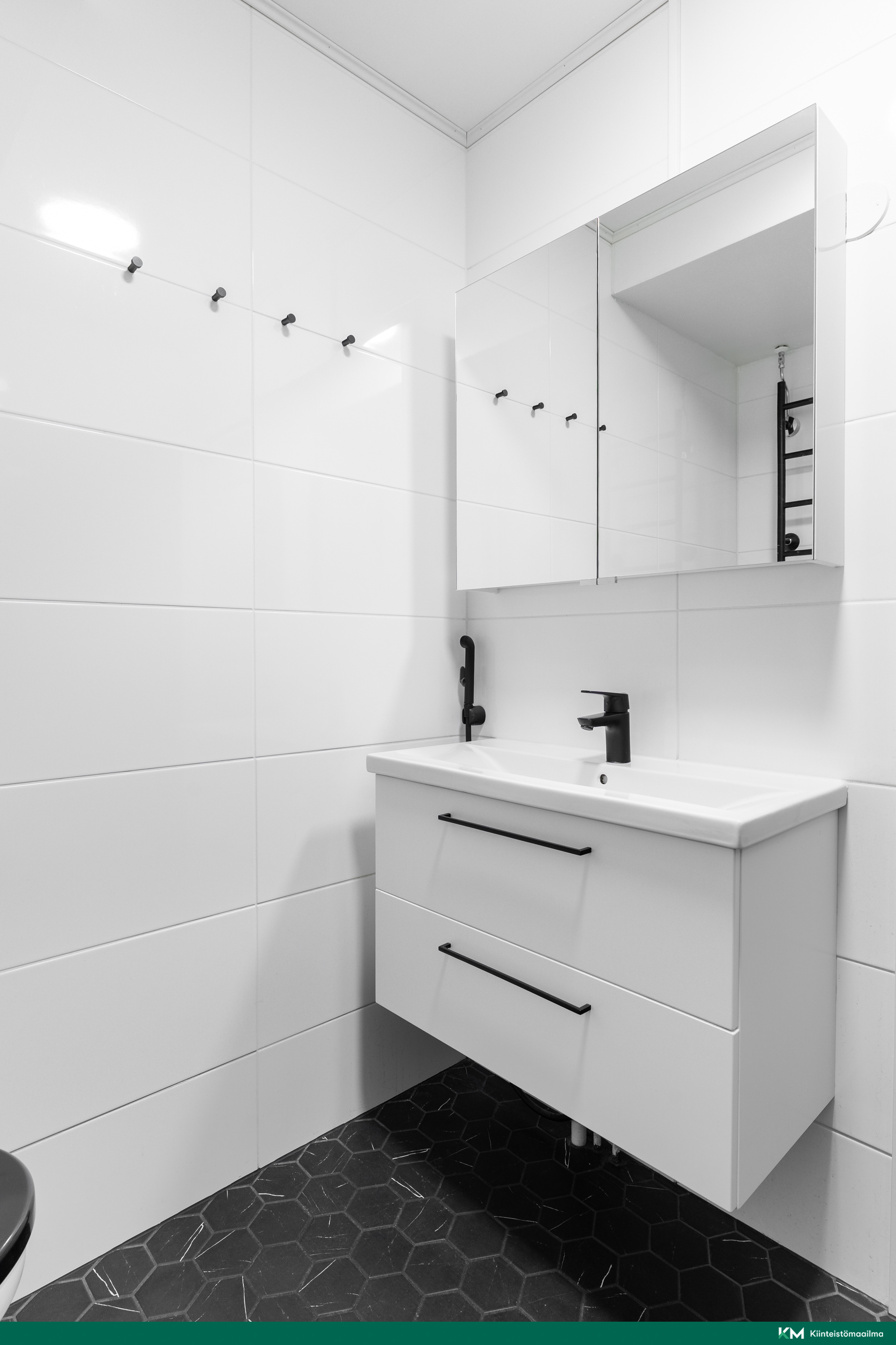 Vetehisenkuja 3, Hakaniemi, Näkinpuisto, Helsinki