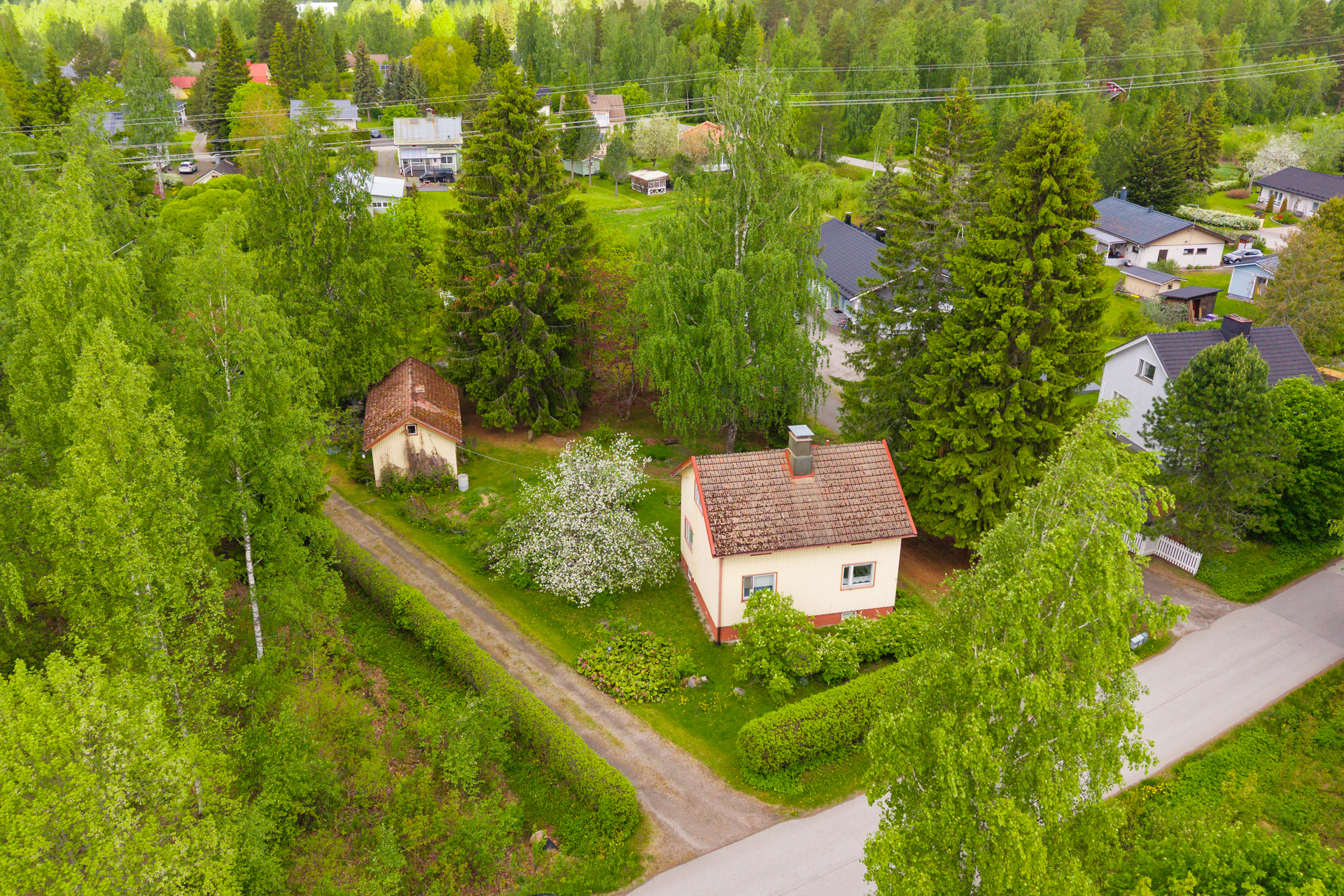 Auratie, Kuokkalanpelto, Jyväskylä