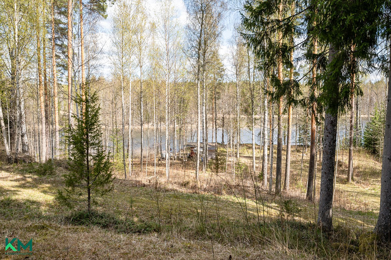 Pääskynpolku 11, Hartola