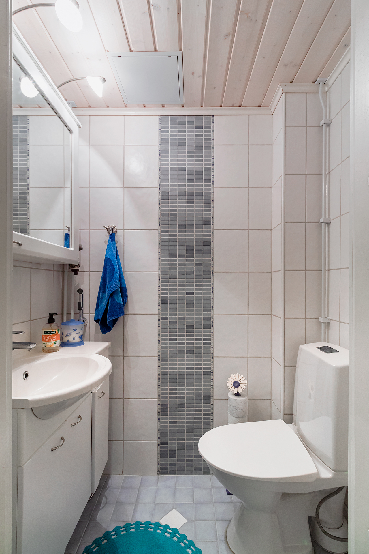 Erillinen Wc