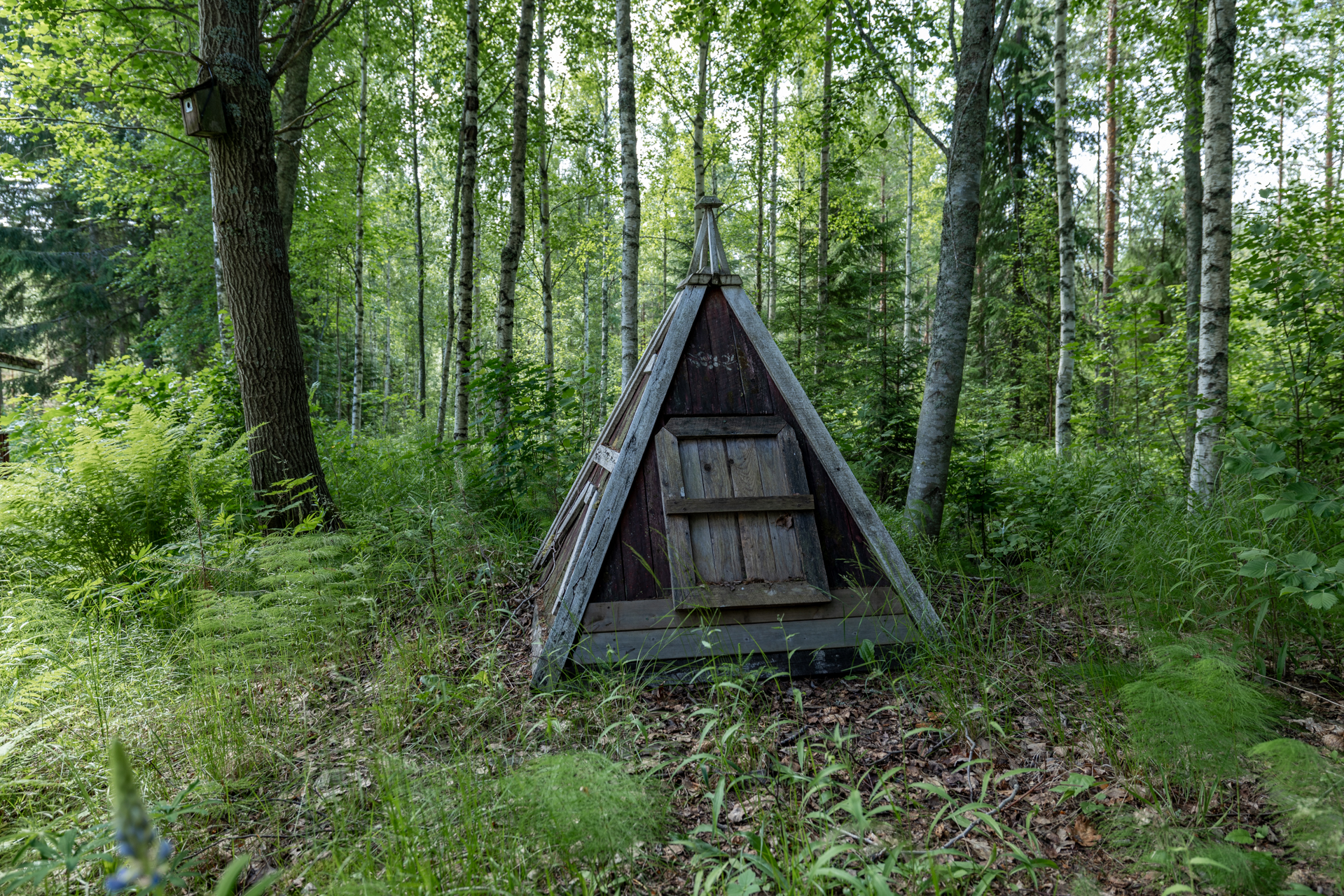 Himalanpohjantie 2515, Suomenniemi, Mikkeli