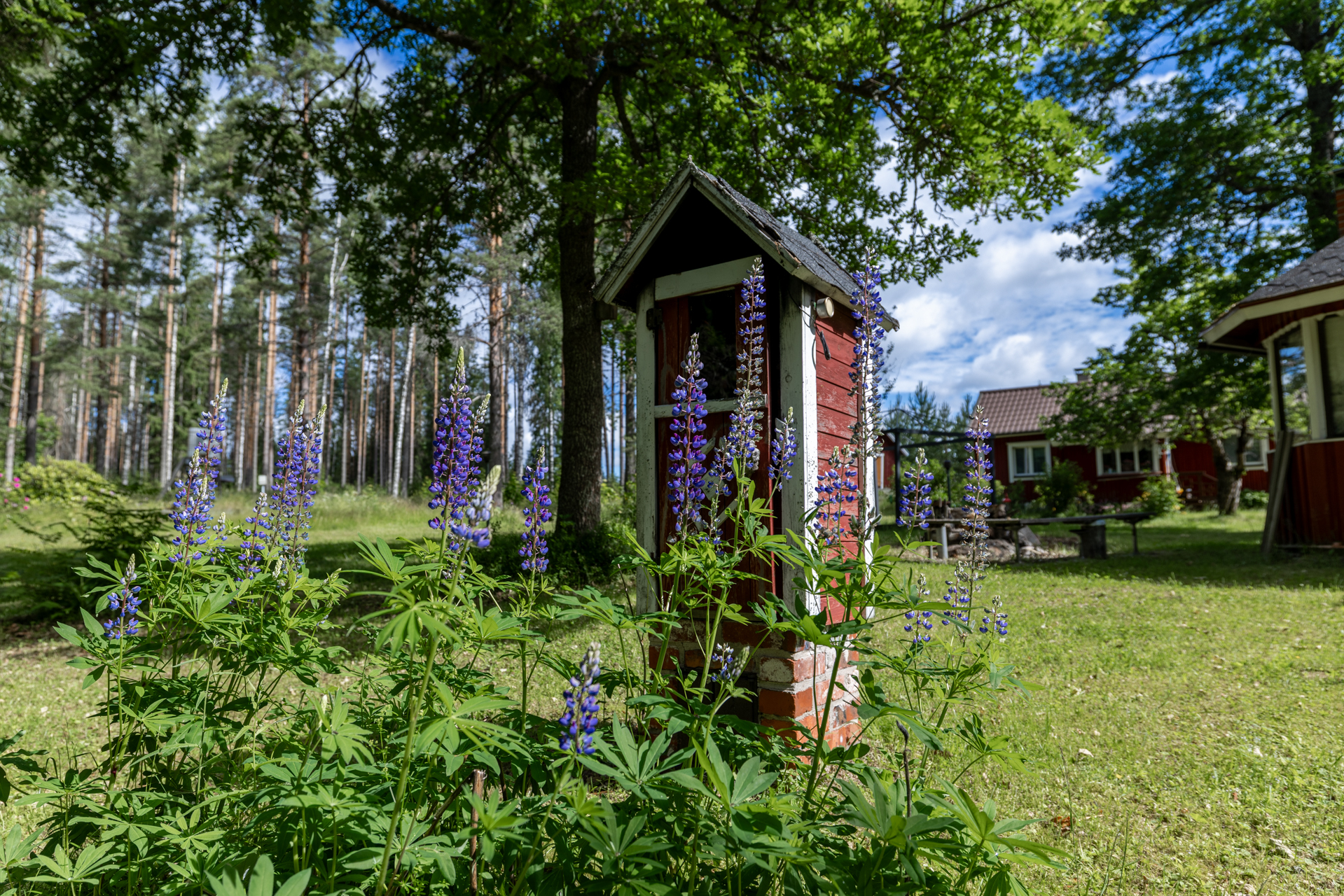 Himalanpohjantie 2515, Suomenniemi, Mikkeli
