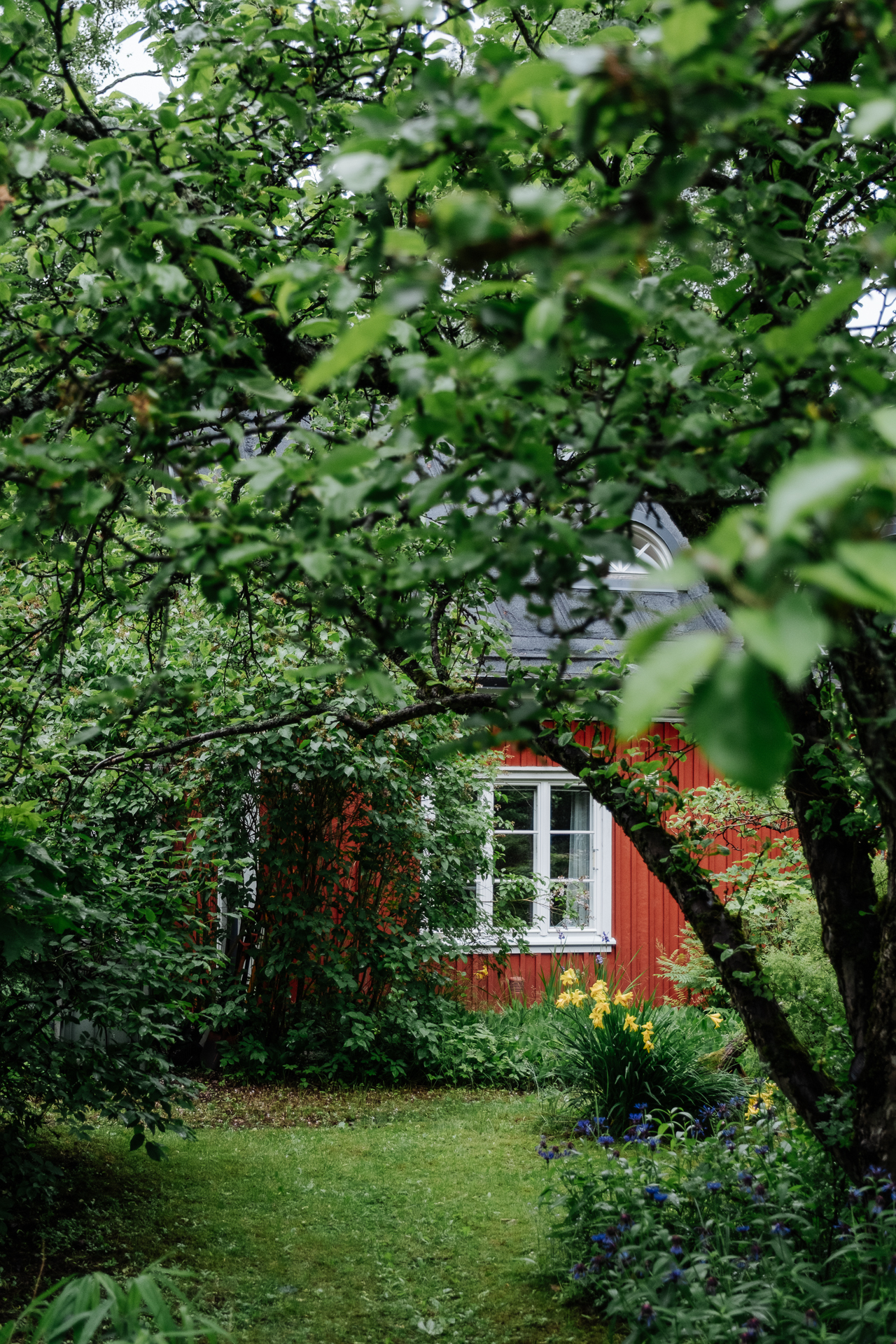 Turjantie 6, Käpylä, Helsinki