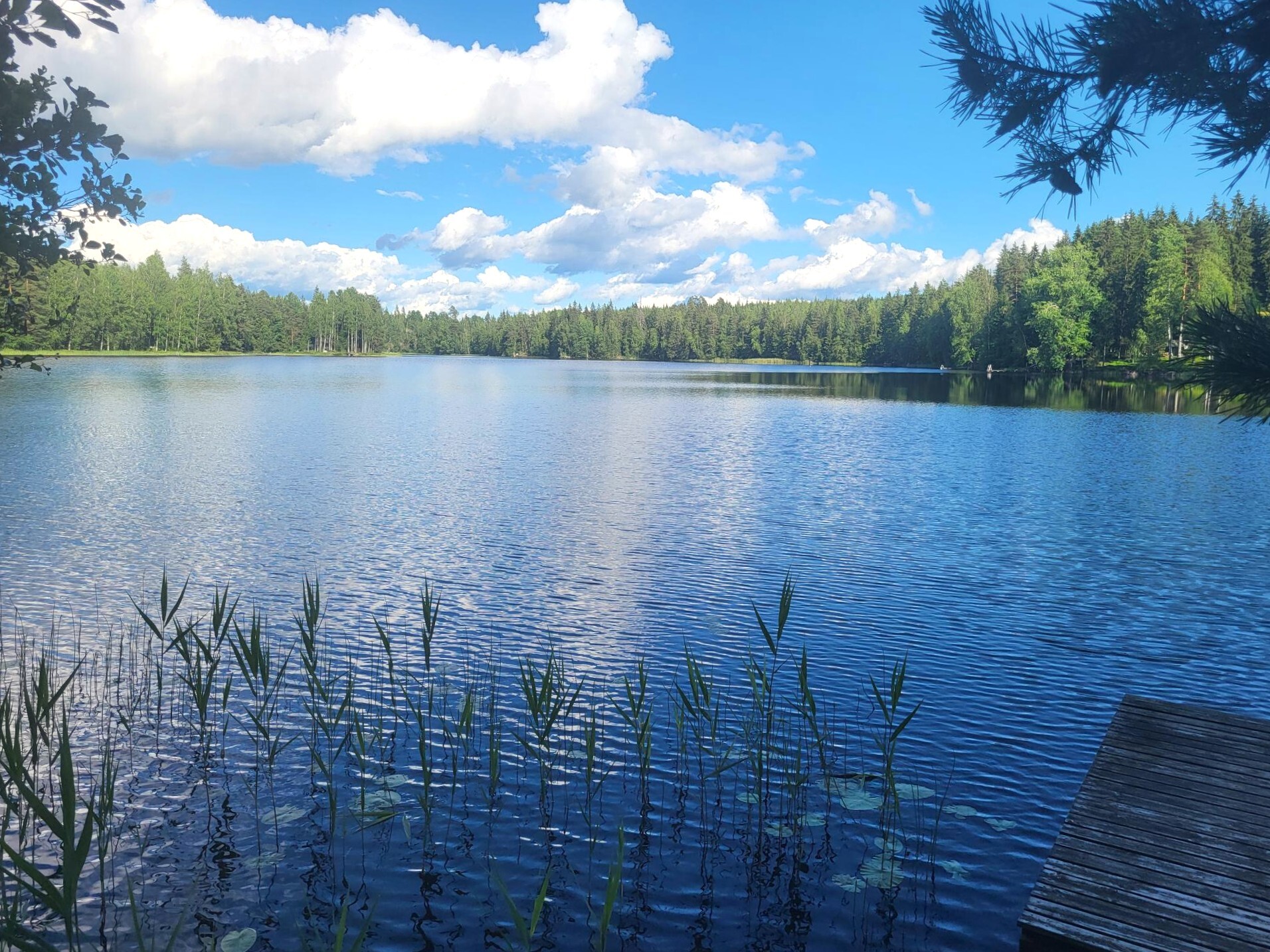 Vainosentie 312, Kannuskoski, Luumäki
