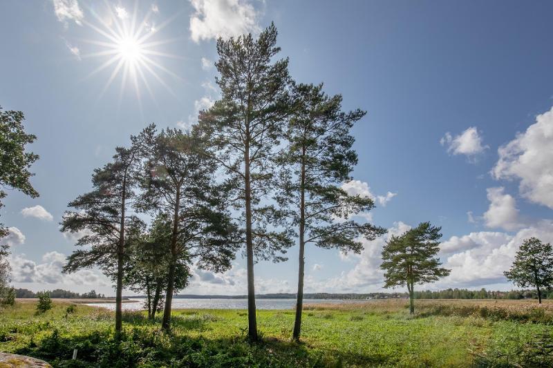 Katajanokantie 23, Skatudden, Inkoo