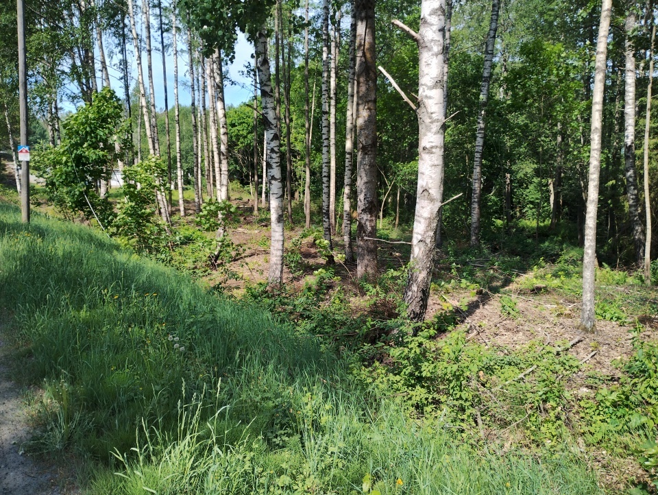 Rorkulten 5, Tammisaari