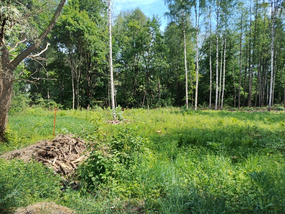 Rorkulten 5, Tammisaari