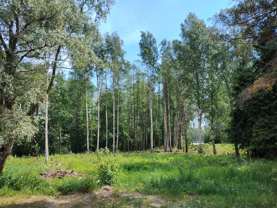 Rorkulten 5, Tammisaari