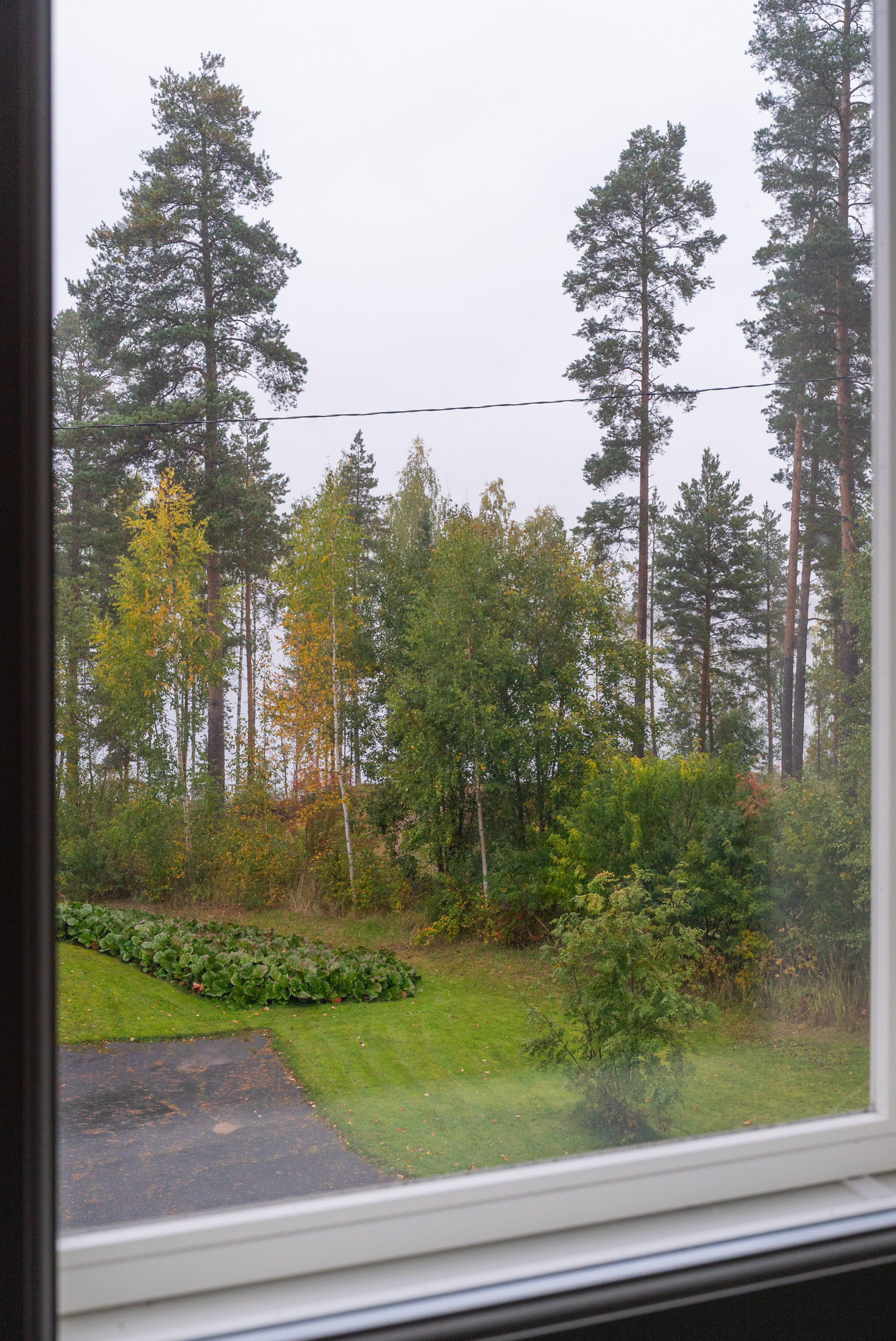 Näkymä yläkerran makuuhuoneesta