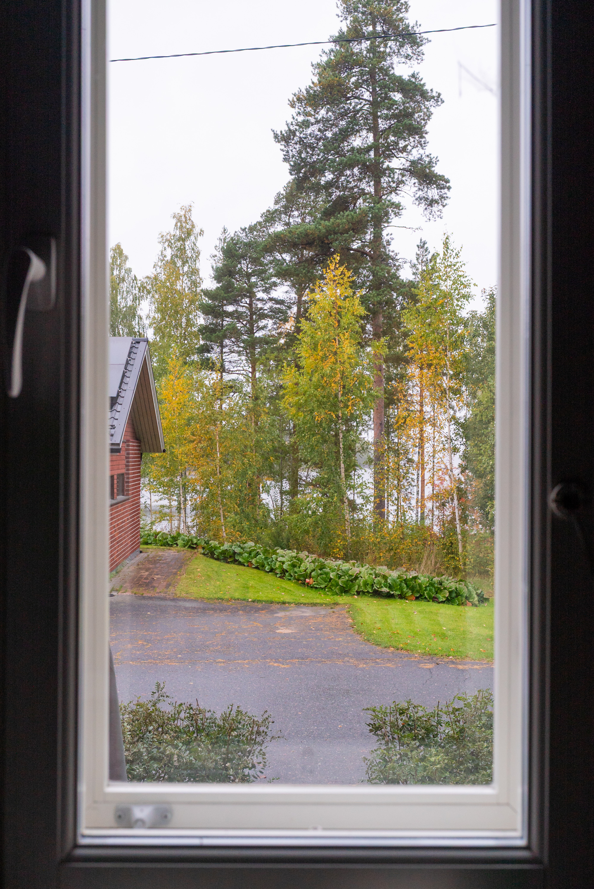 Näkymä keittiön ikkunasta