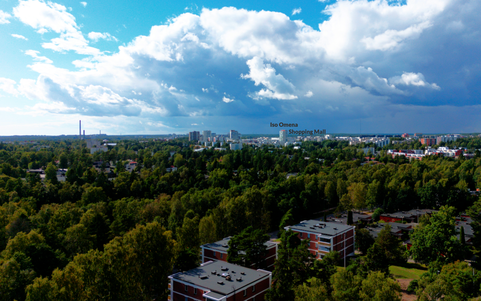 Taloyhtiön ympäristö hyvin vehreä