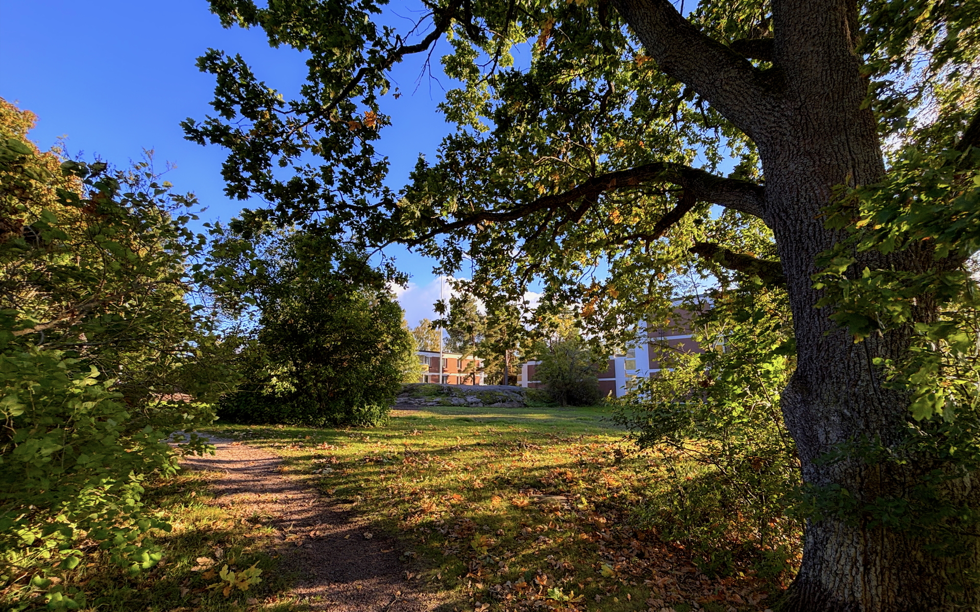 Taloyhtiön yläpihaa