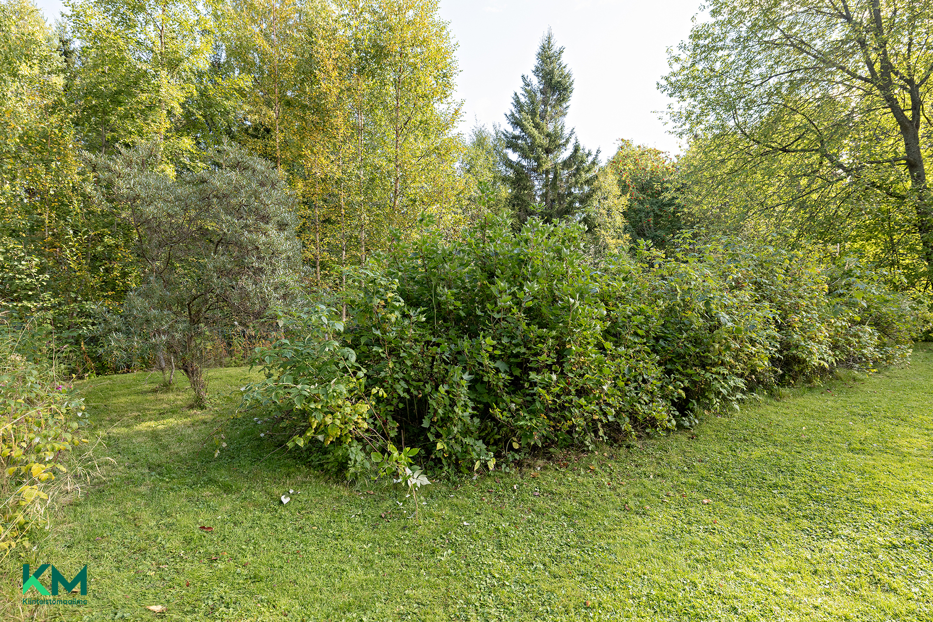 Siikasaarentie 8, Siikasaari, Oulu