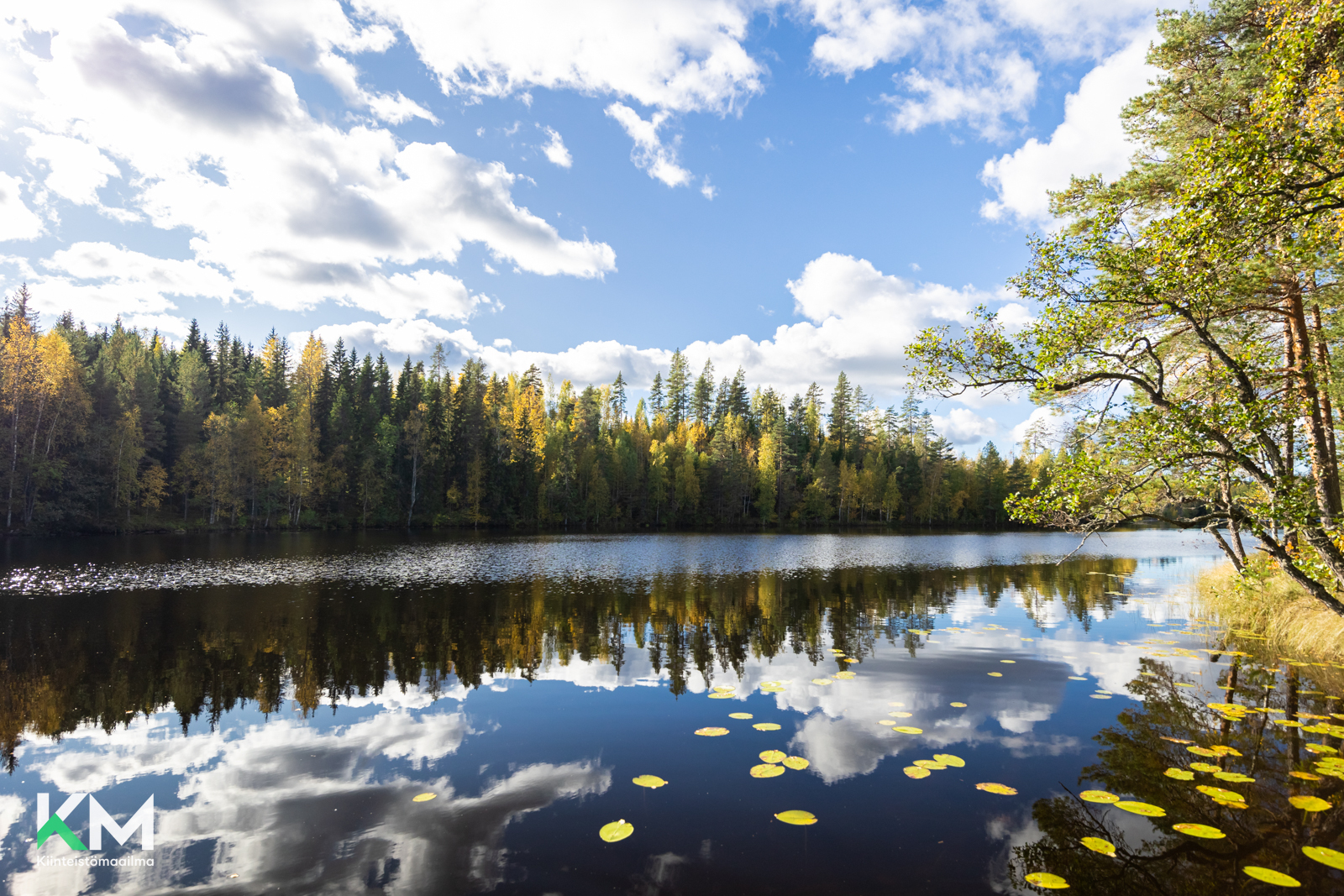 Rakojärventie 64, Kylämä, Kuhmoinen