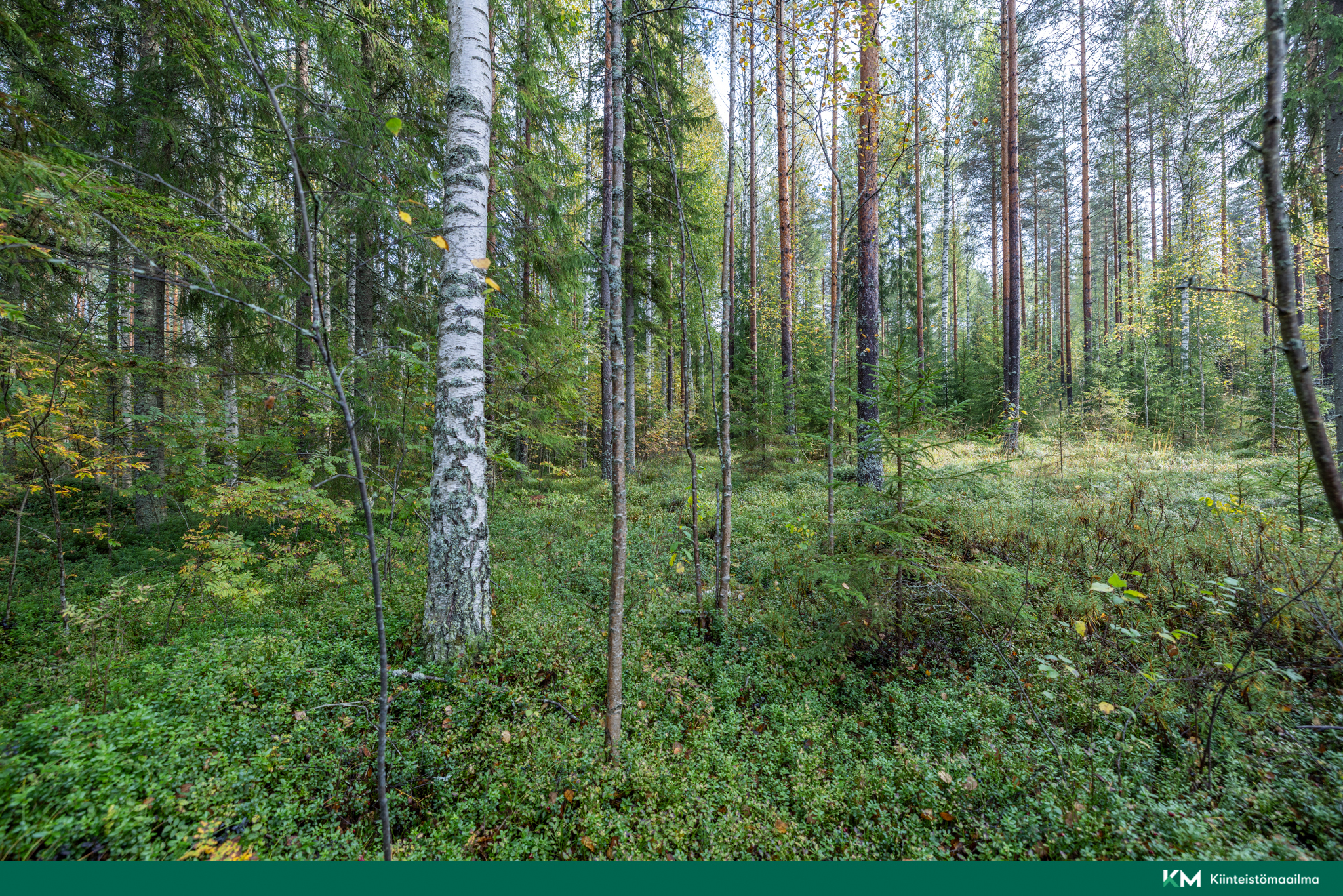 Ukkolantie, Juva