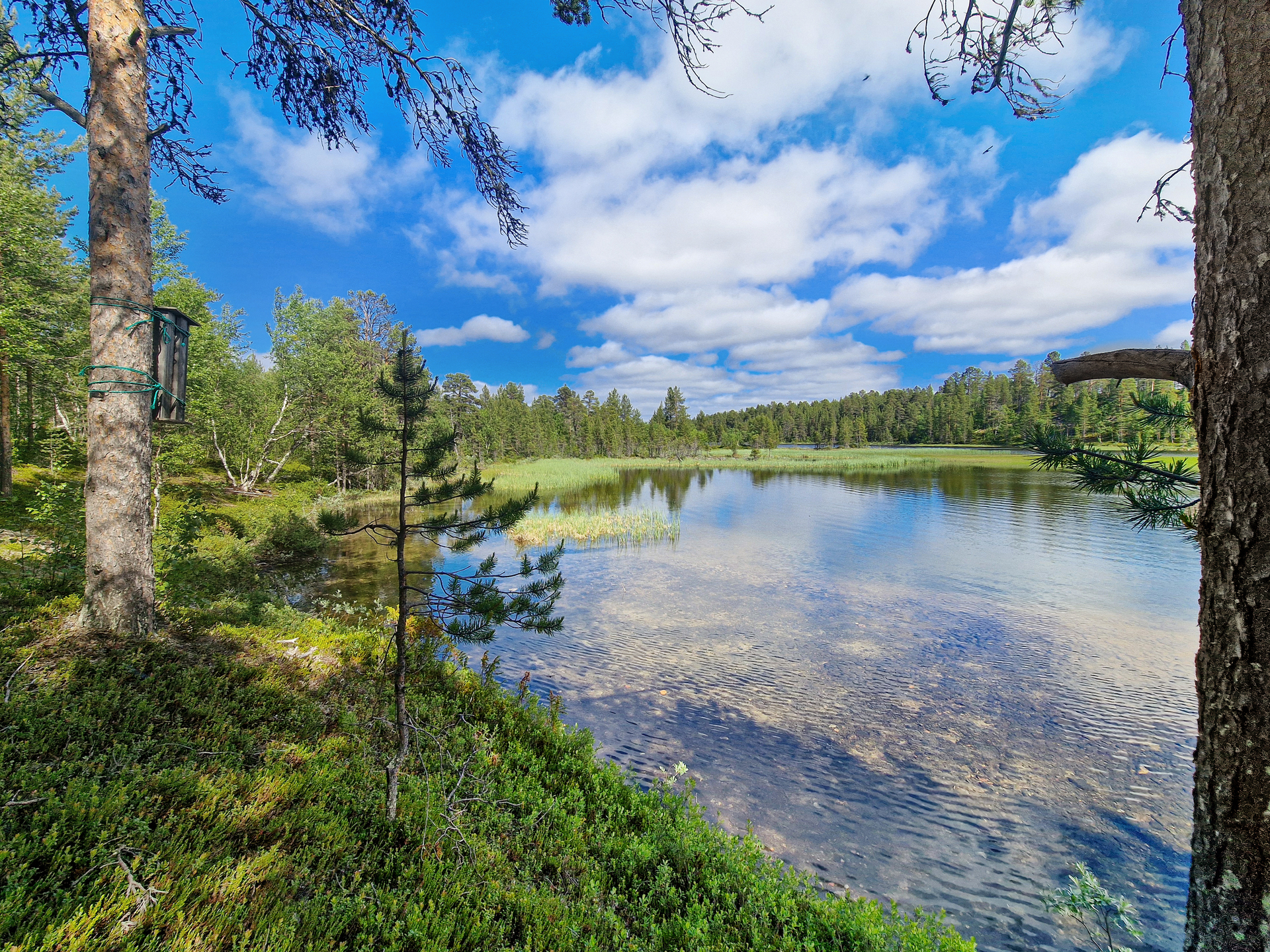 Oma ranta