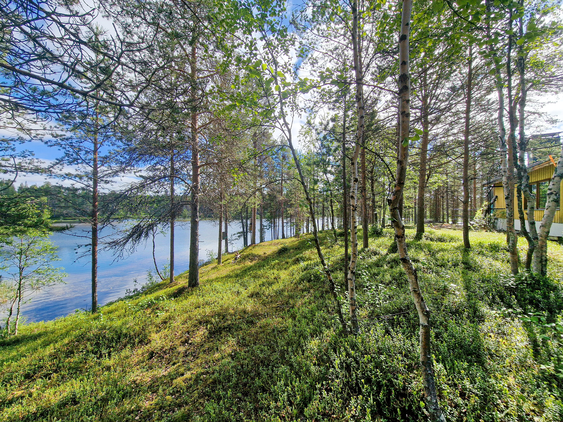 Ranta