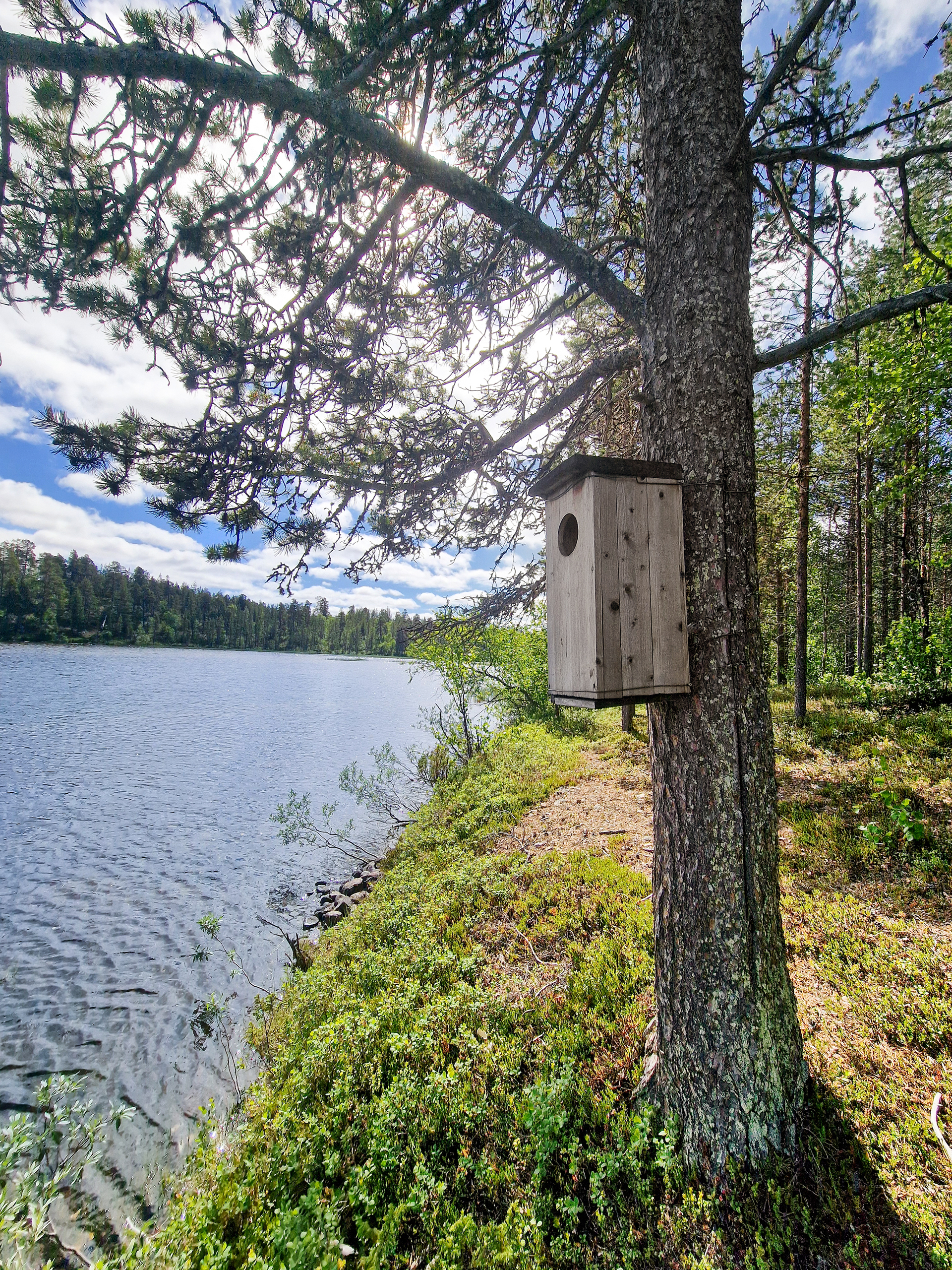 Sevettijärventie 8830c, Sevettijärvi, Inari