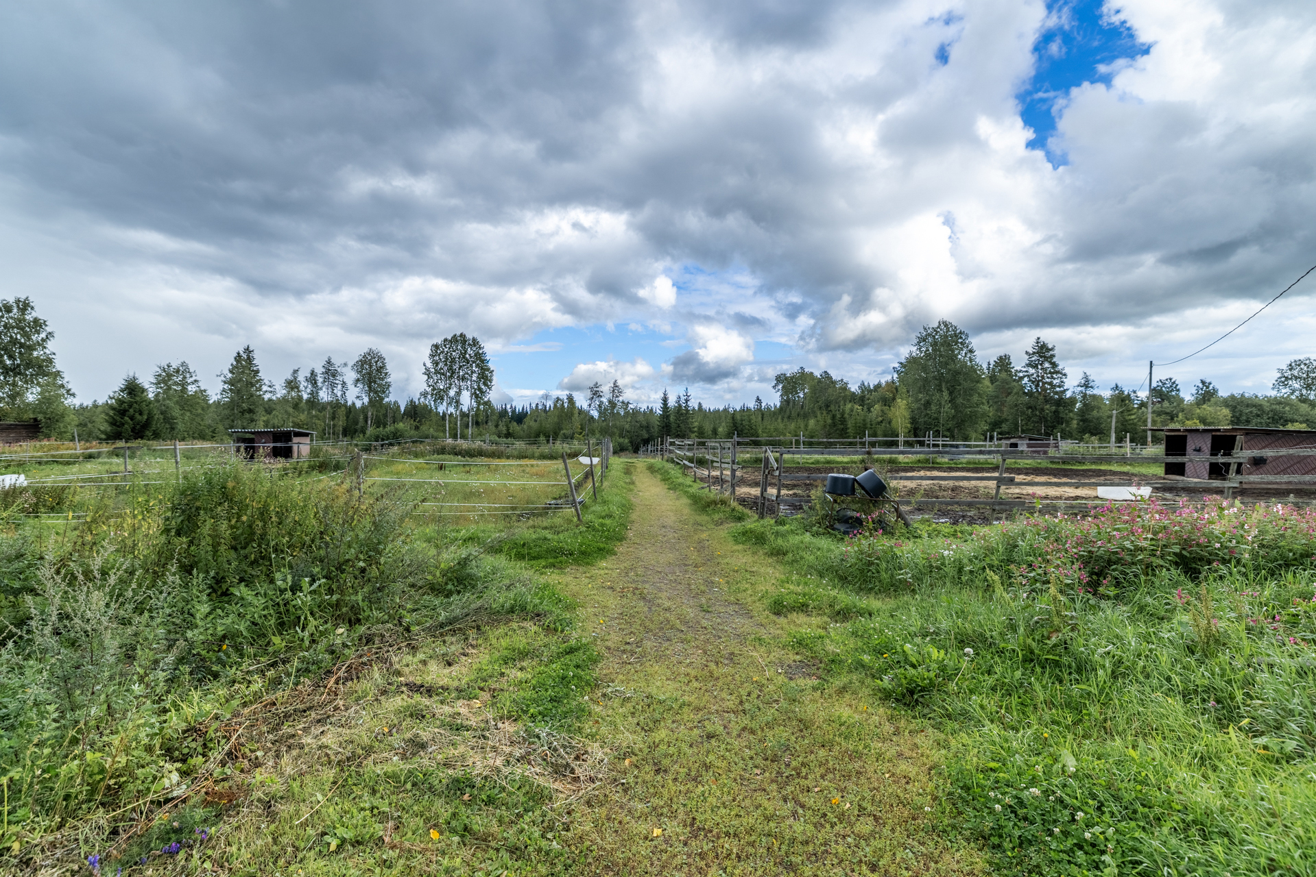 Honka-Ahontie 3, Honkamäki, Mikkeli