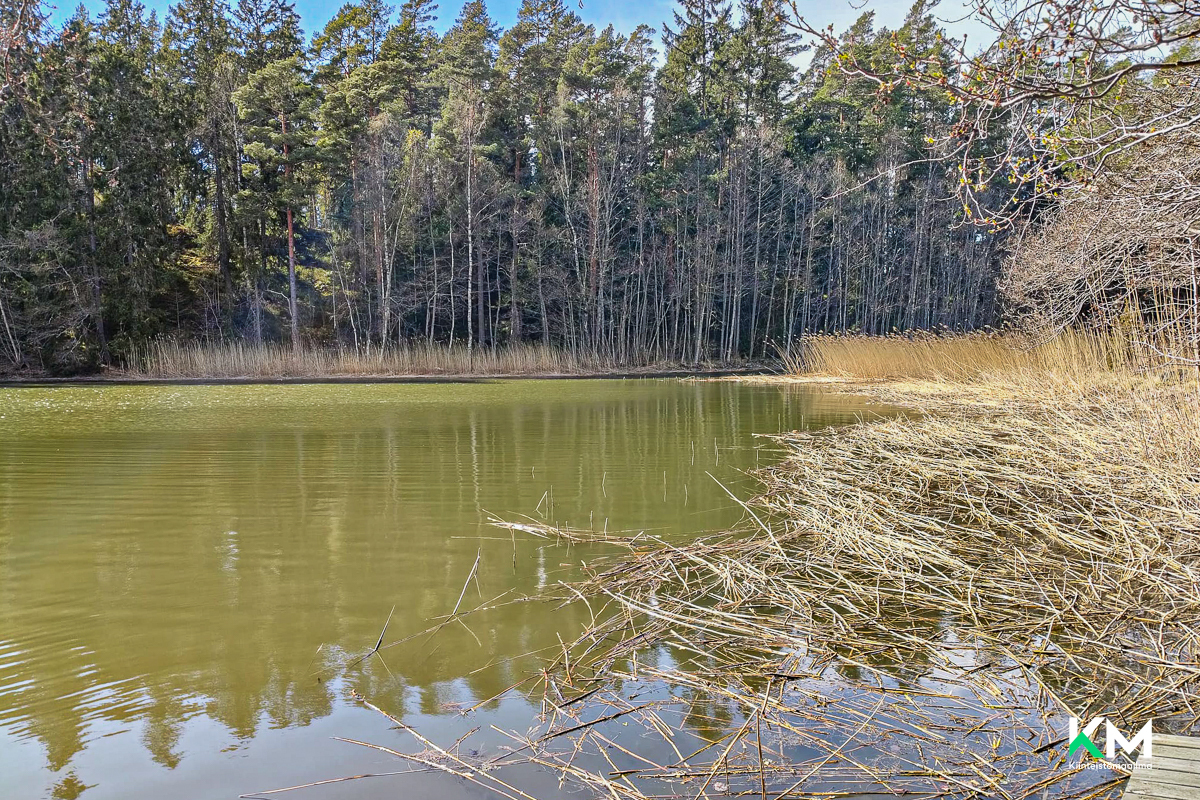 Eteläkuivasto 61, Raasepori
