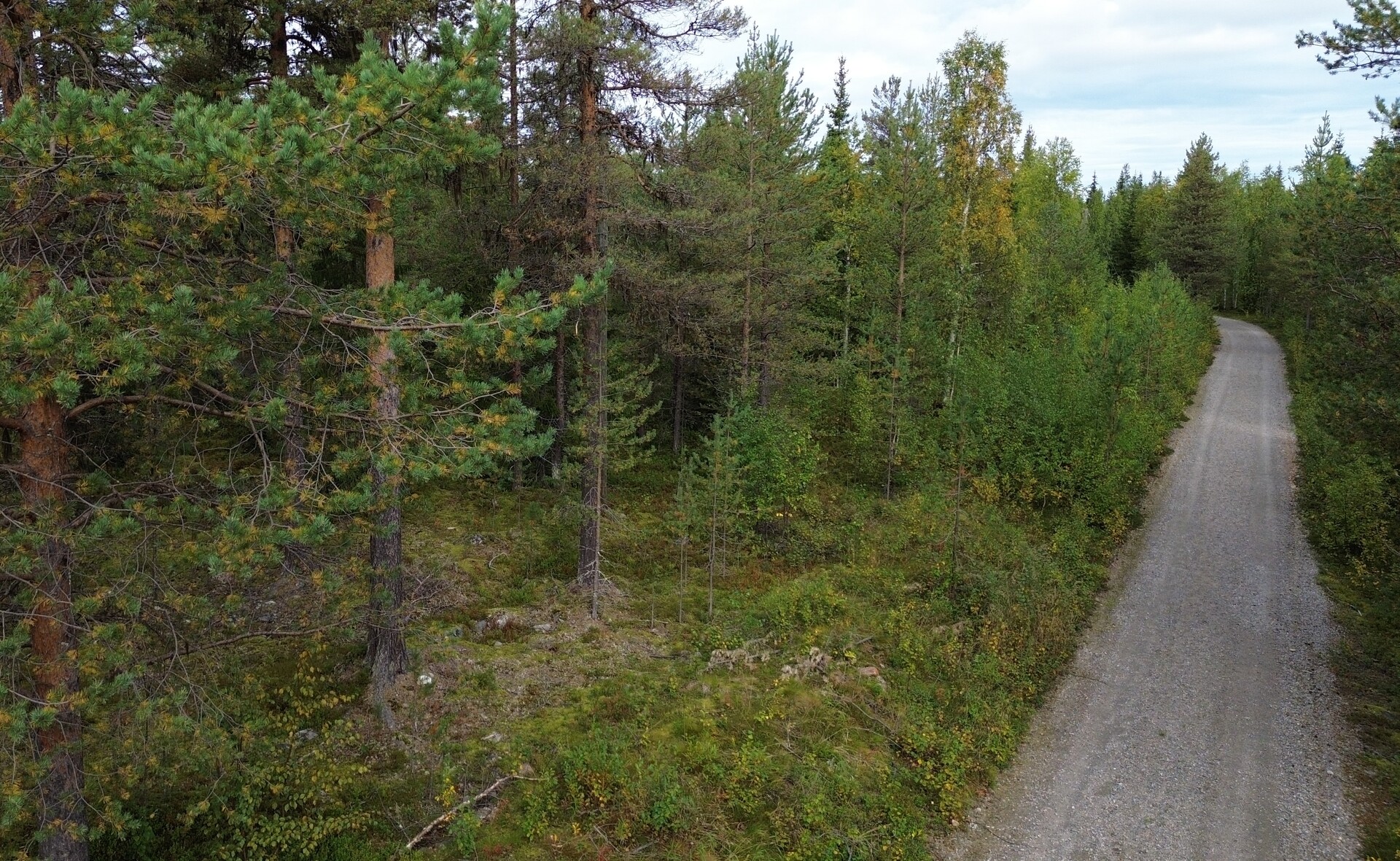 Juliuksentie, Ahvenkangas, Ylläsjärvi, Kittilä