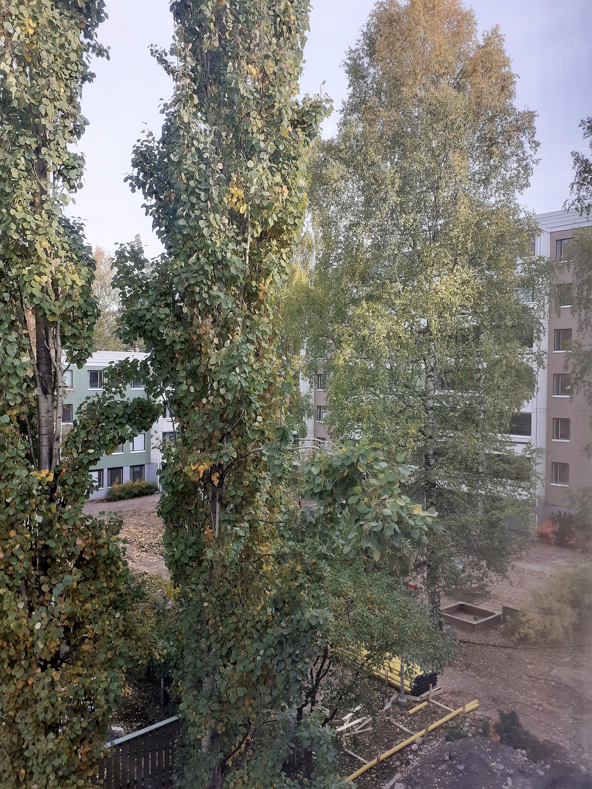 näkymä keittiöstä