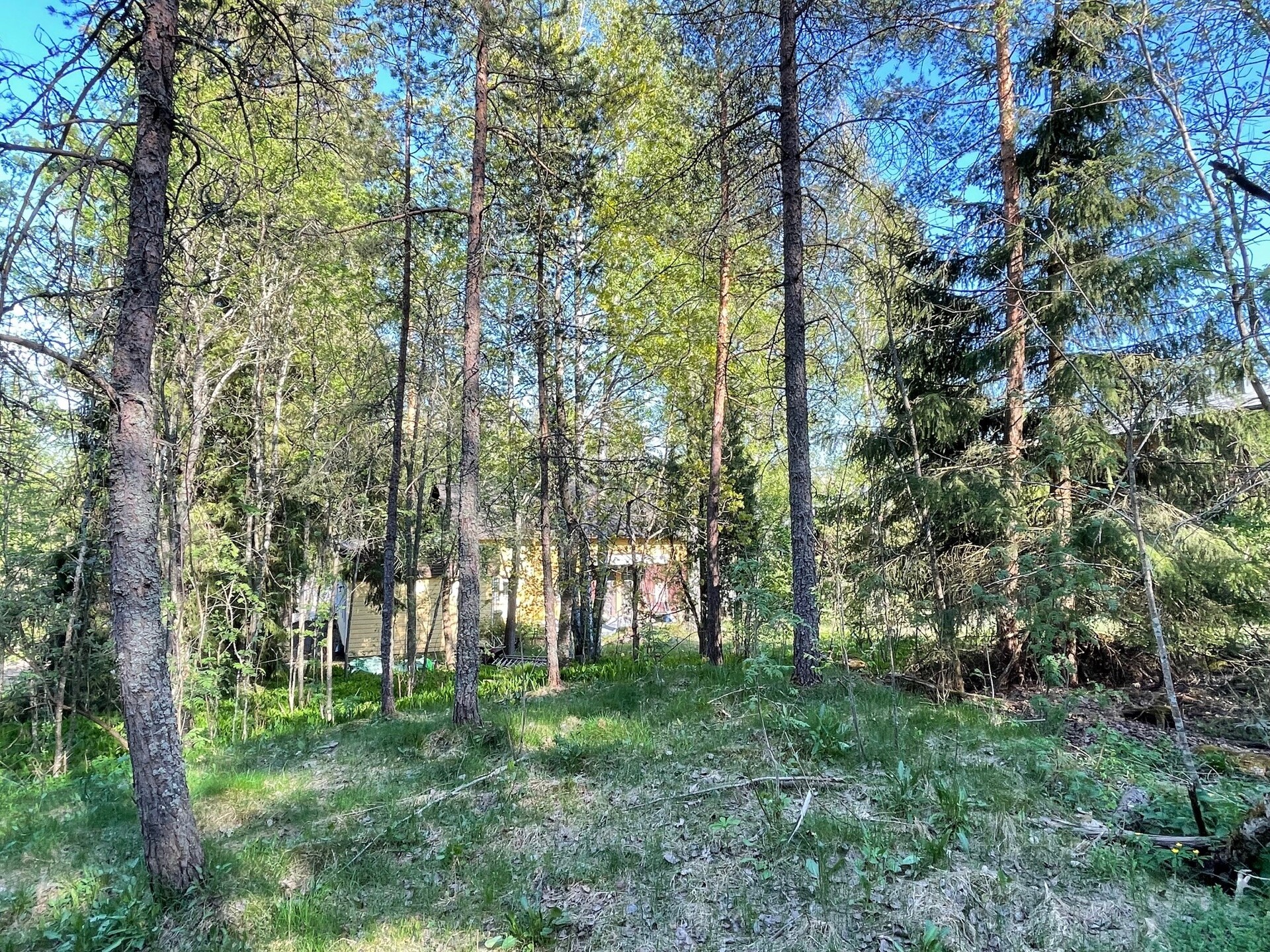 Koivikkorinne 4, Vantaa