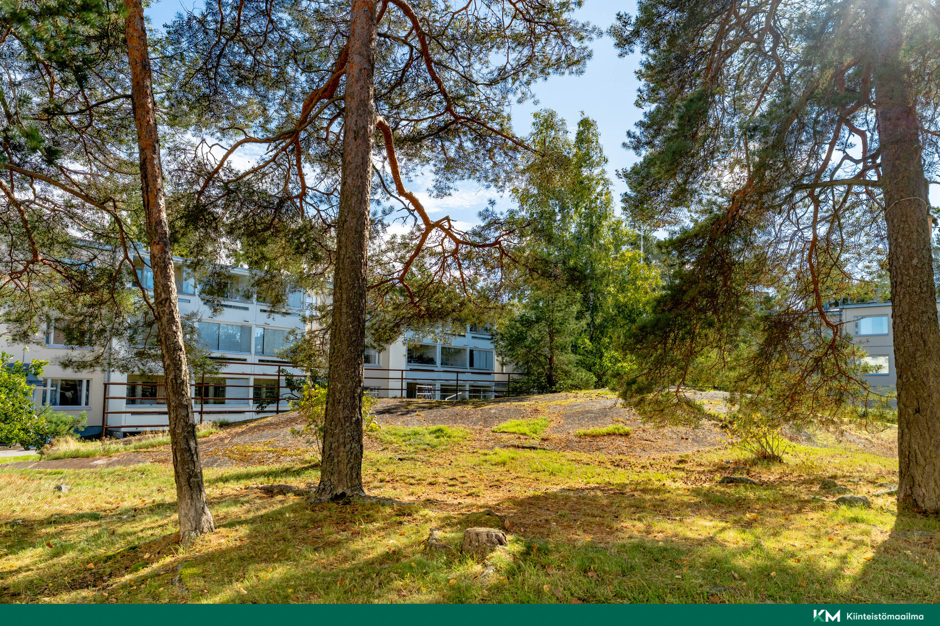 Sijainnin luontomaista ympäristöä