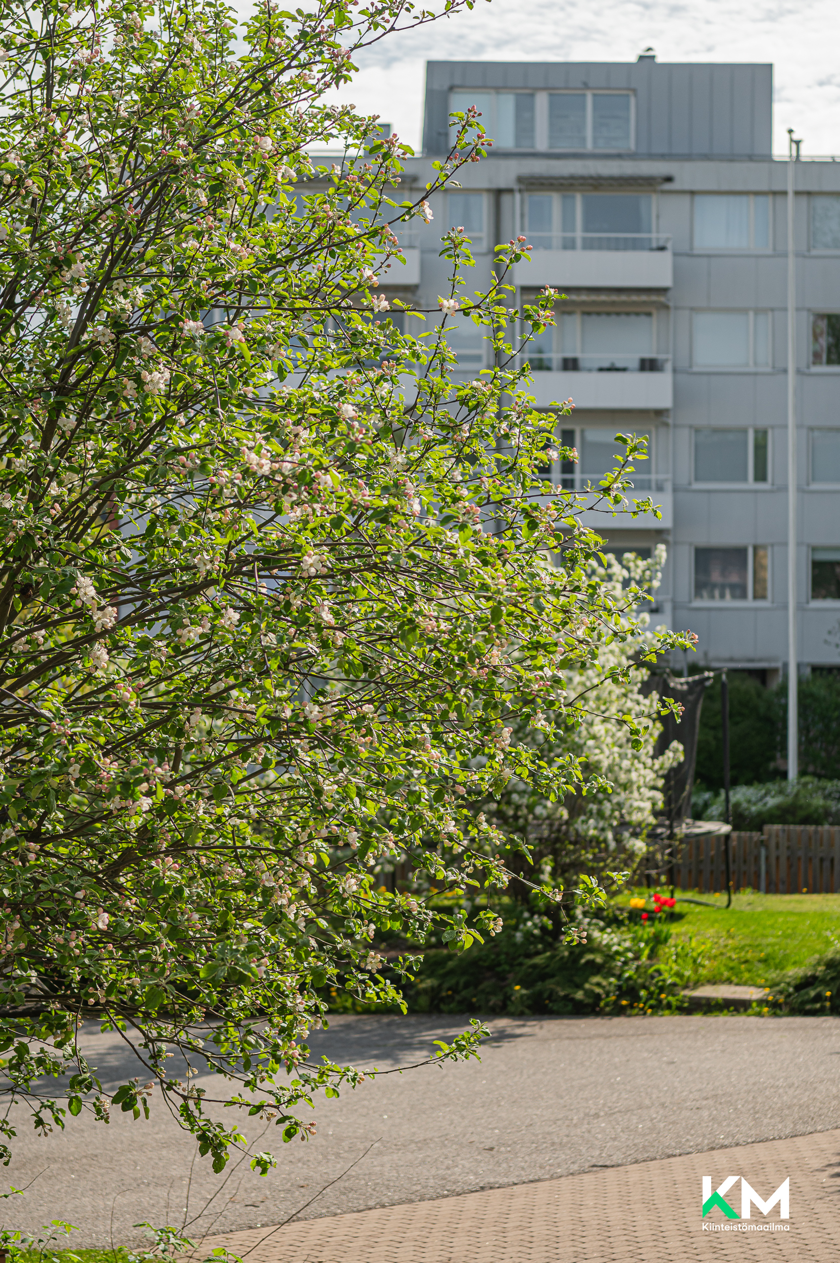 Viherlehdonkatu 6, Raasepori