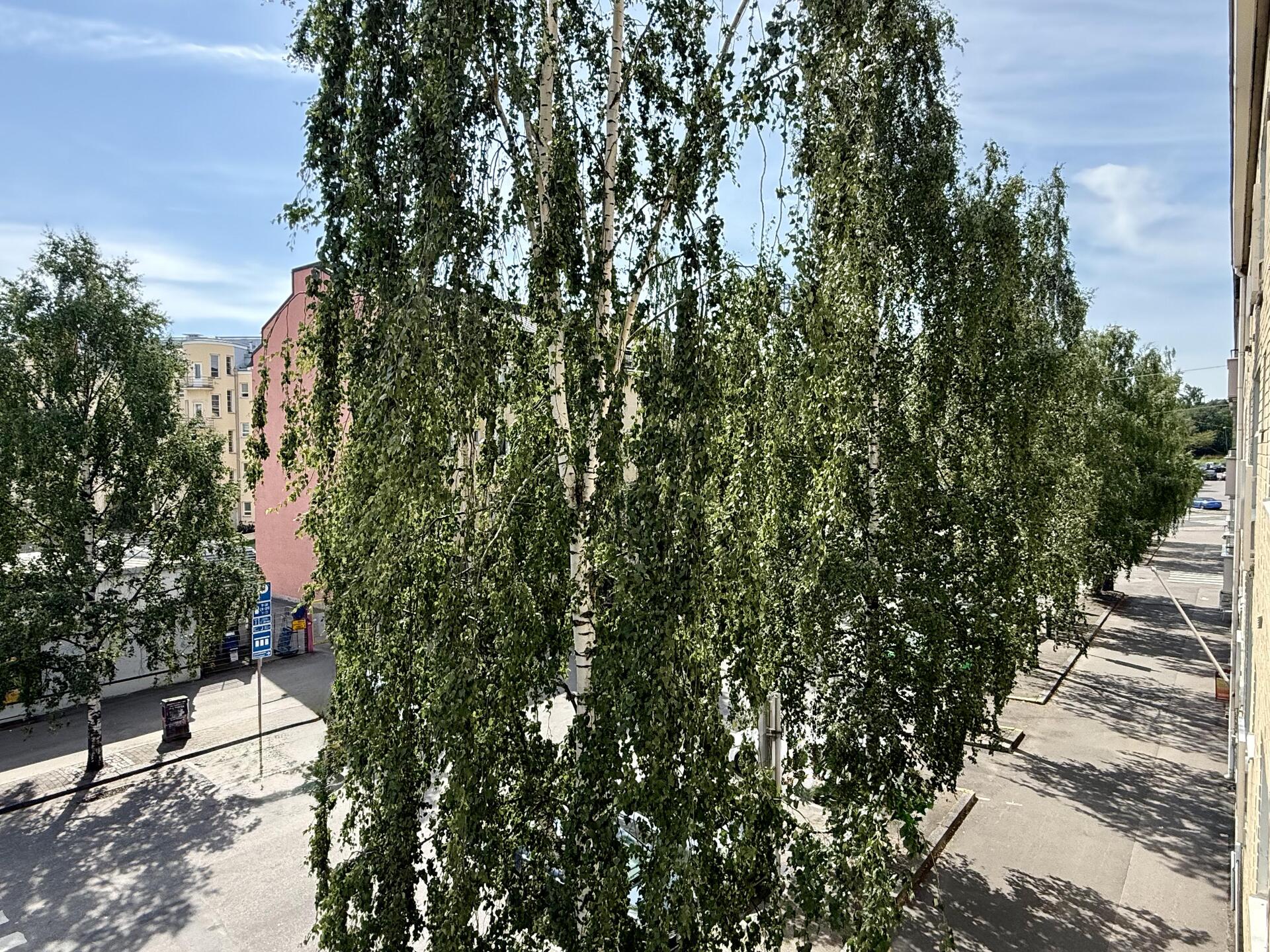 Kotkankatu näkymä