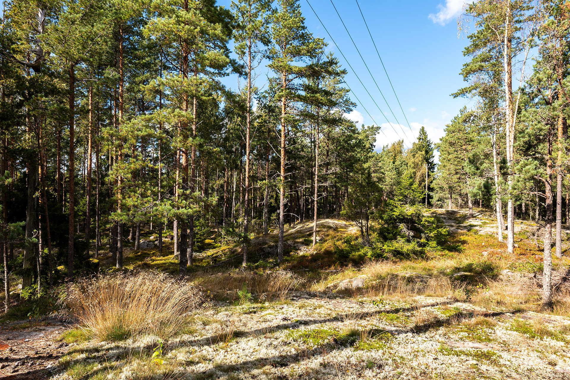 Bylandintie 9, Kirkkonummi