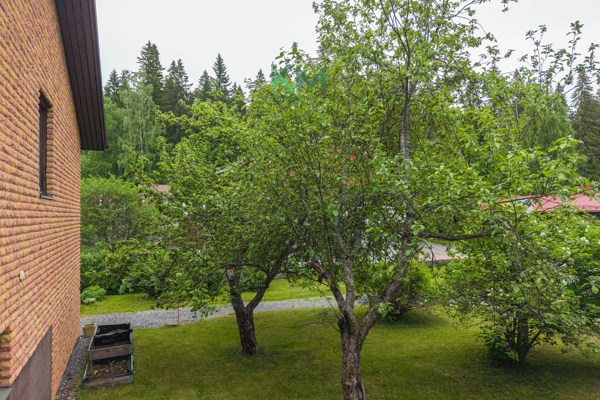 Rypysuontie 5, Rypysuo, Kuopio