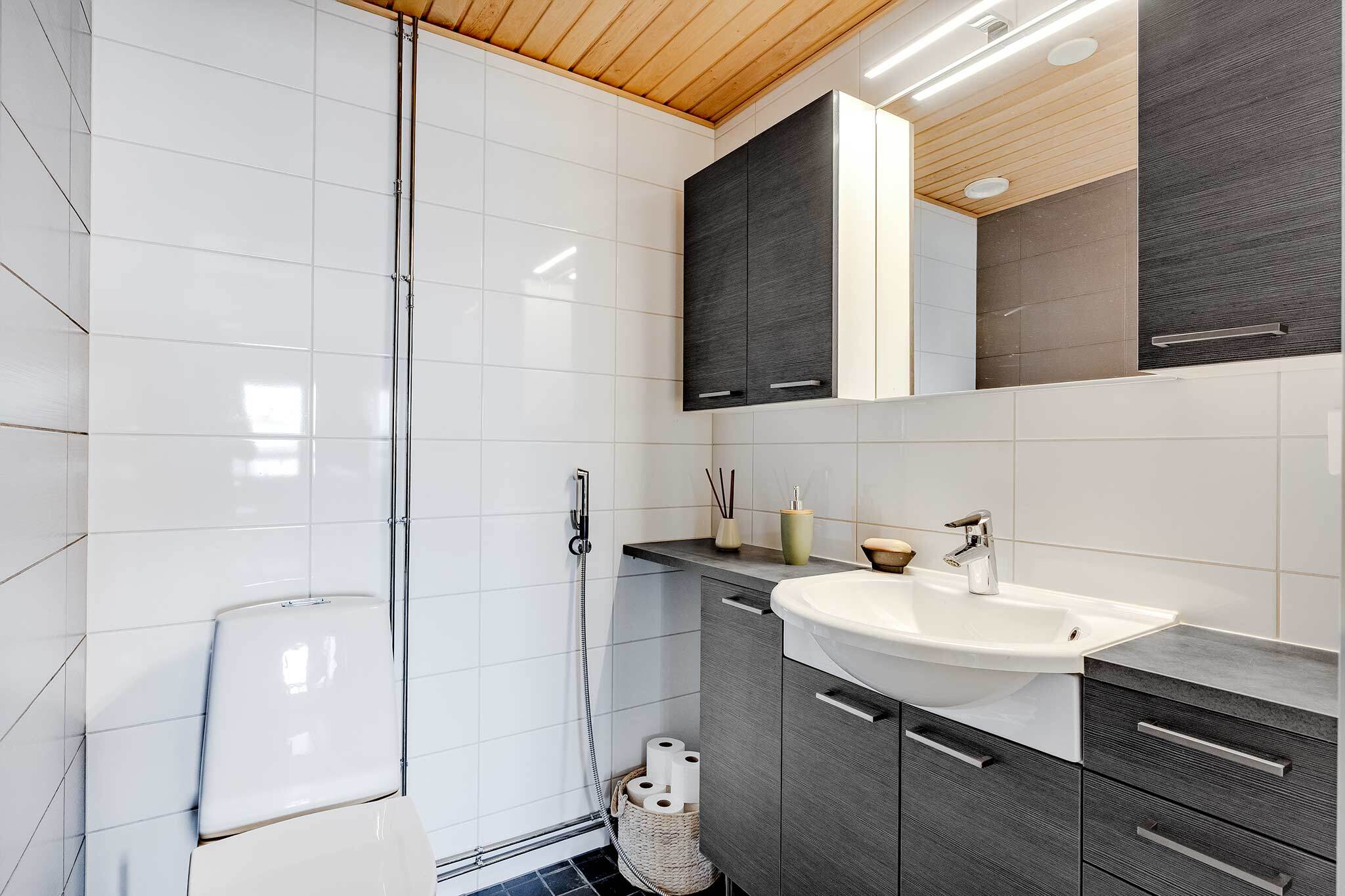 Erillinen wc 1