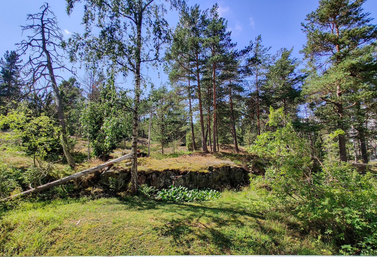 Parvekenäkymää