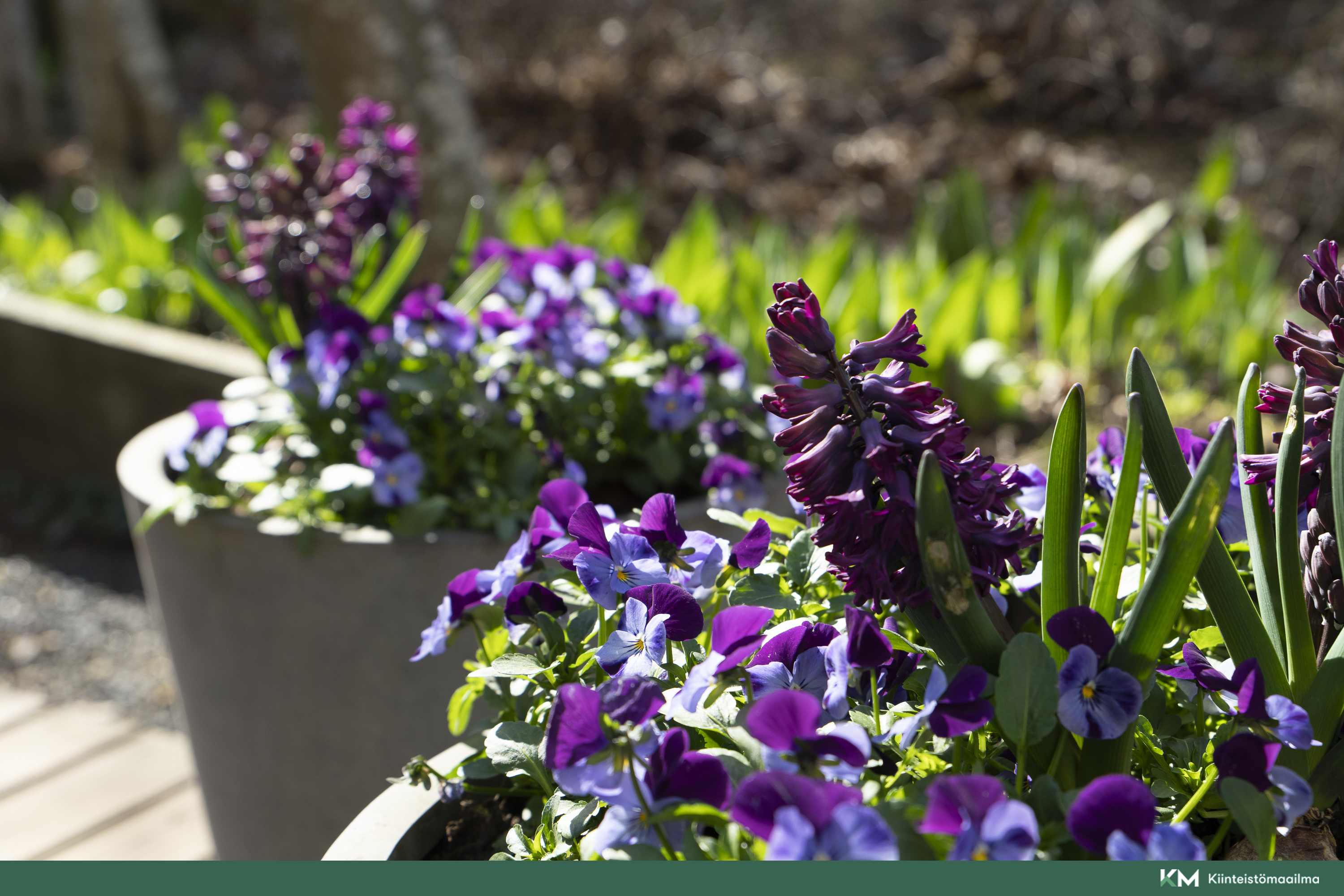 Rusthollarinkuja 7, Puotila, Helsinki