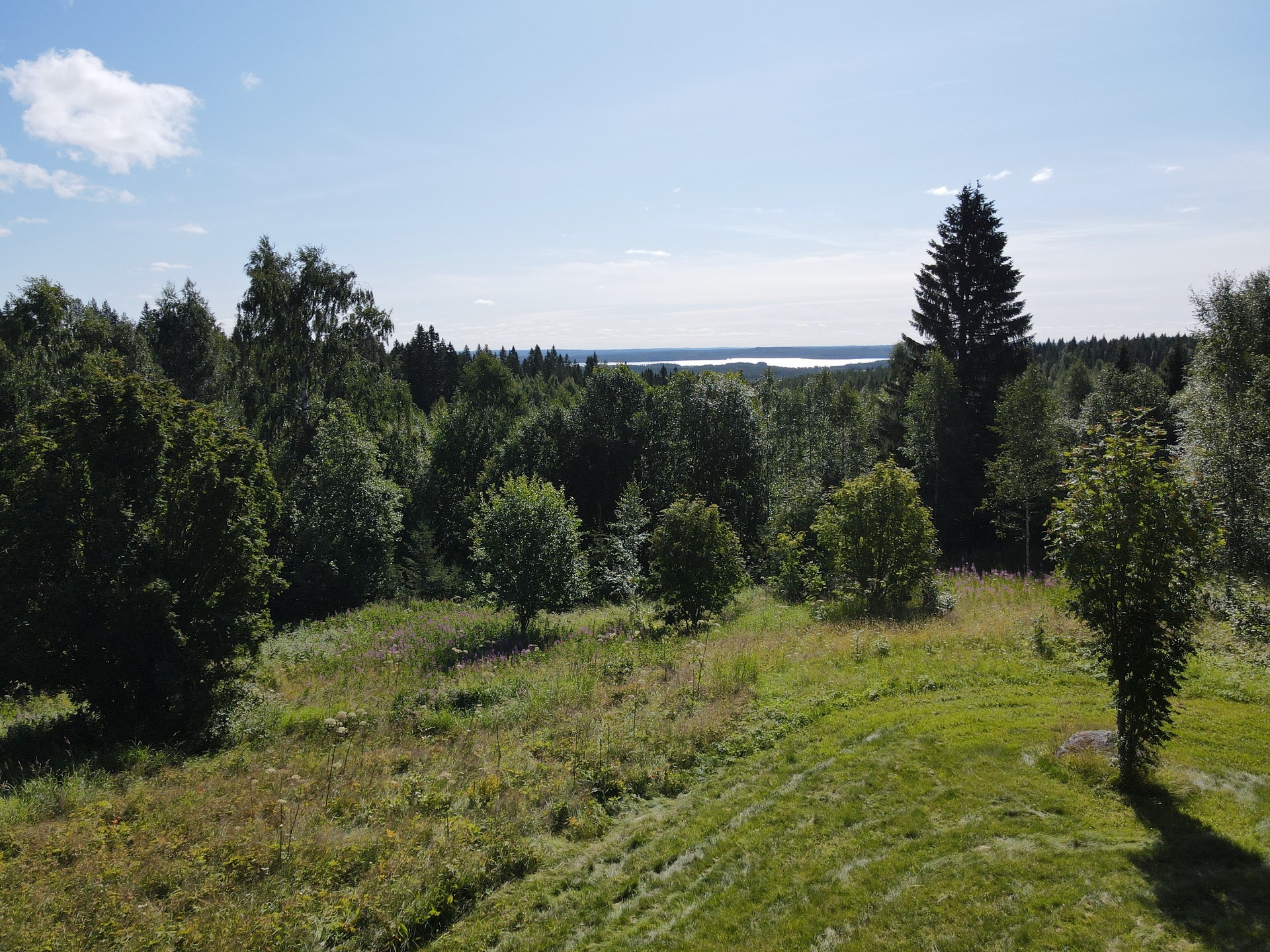 Puolivälintie , Sotkamo