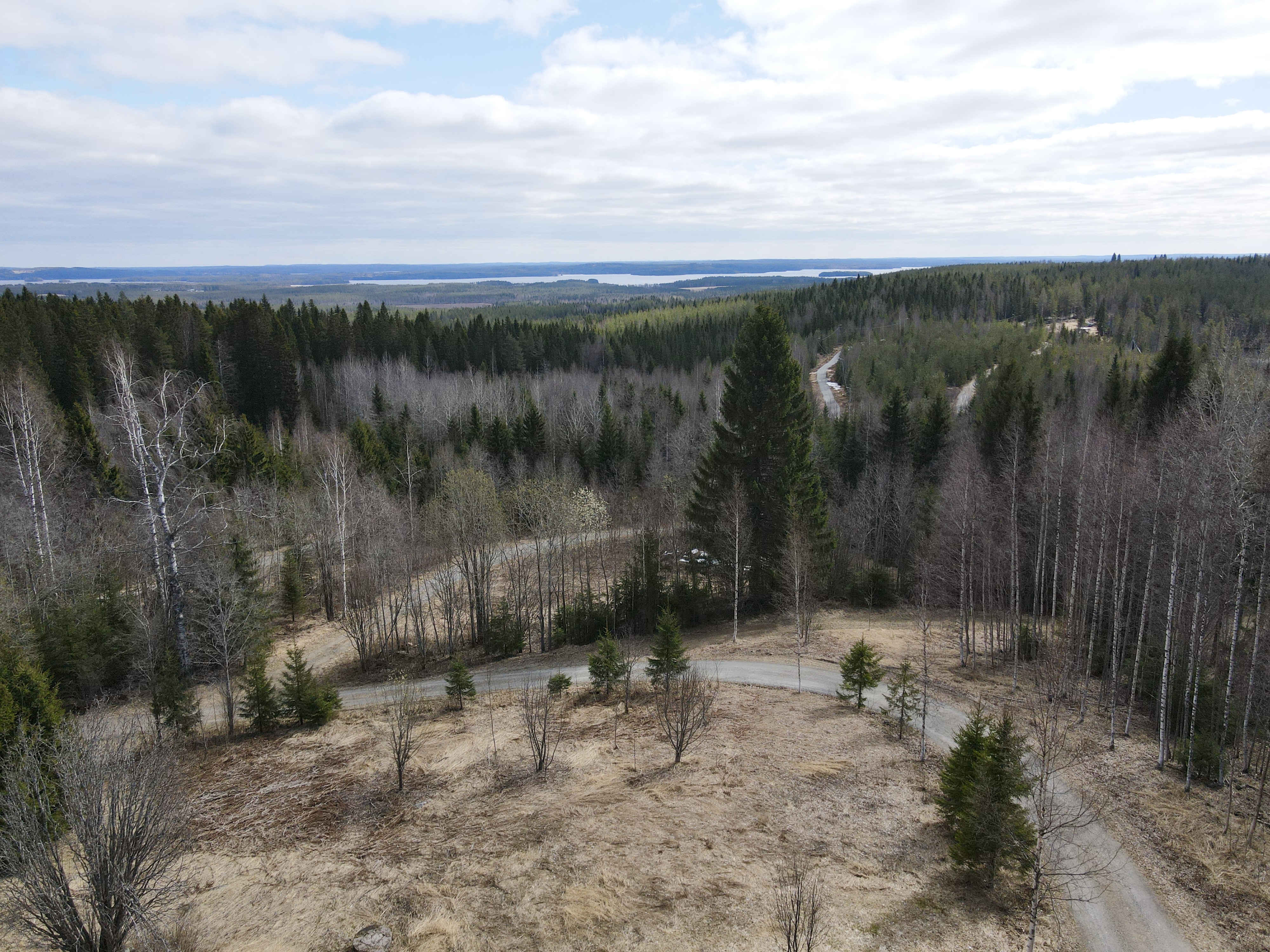 Puolivälintie , Sotkamo