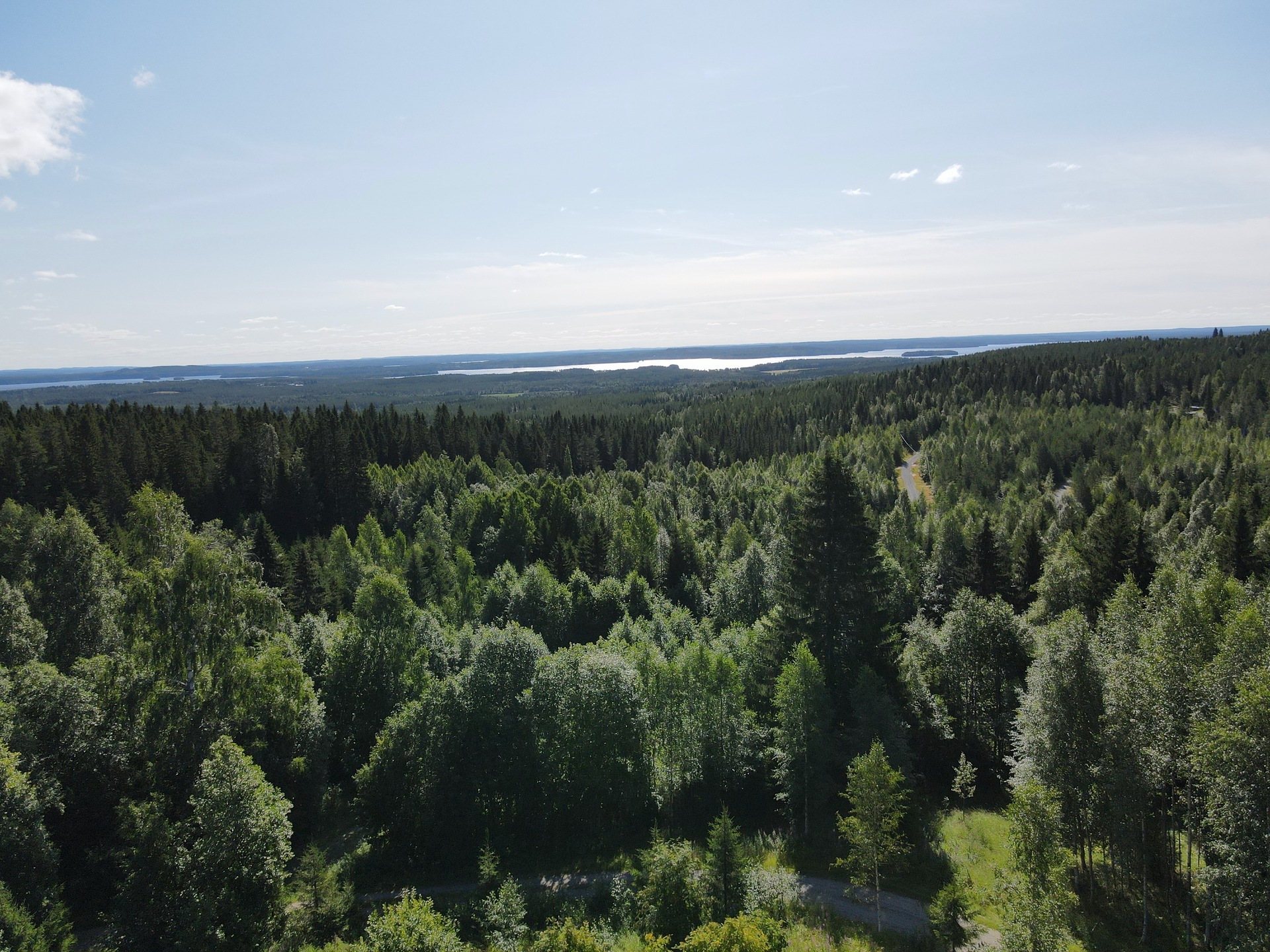Puolivälintie , Sotkamo