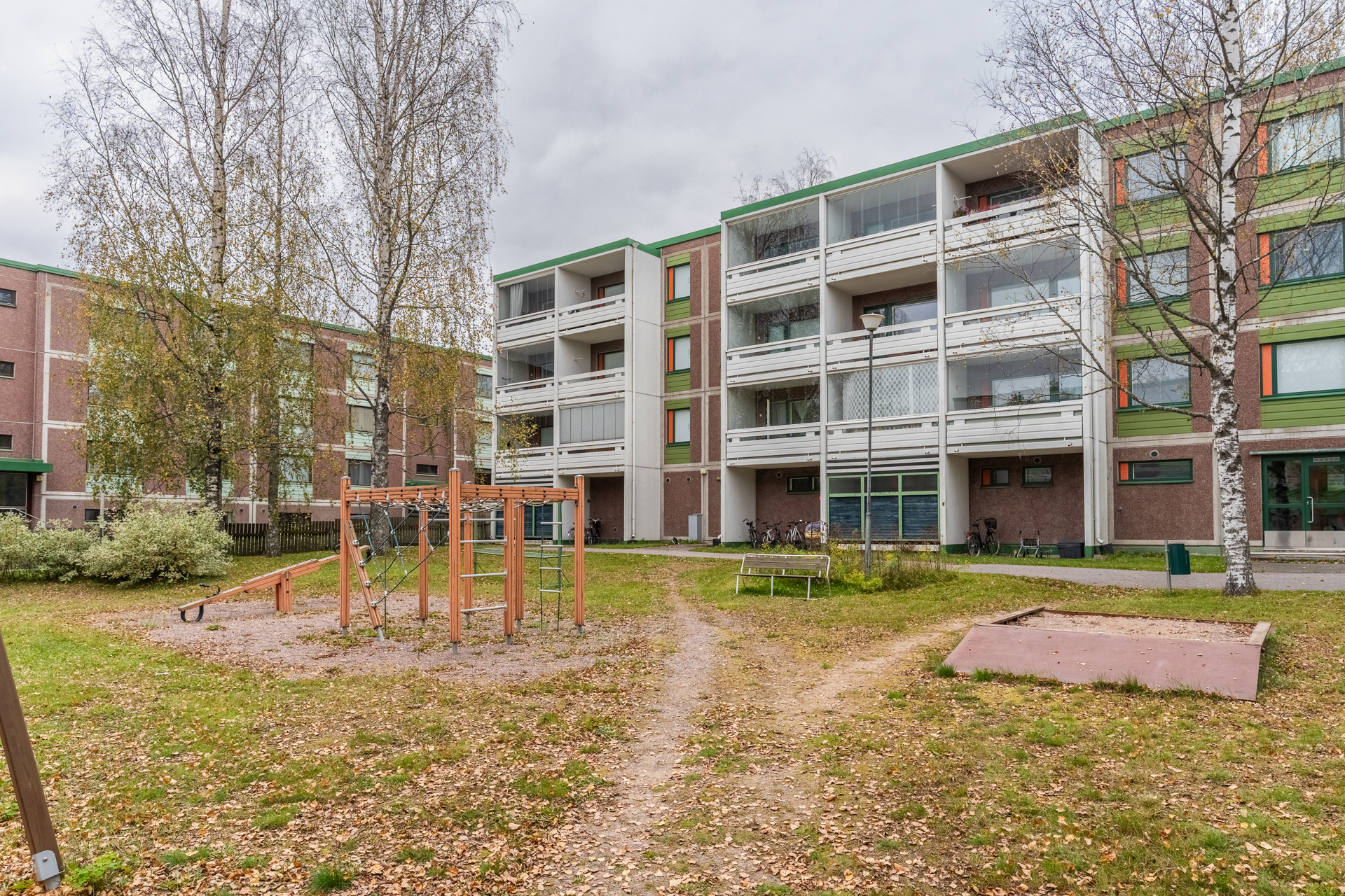 Ryhdikäs ulkomuoto