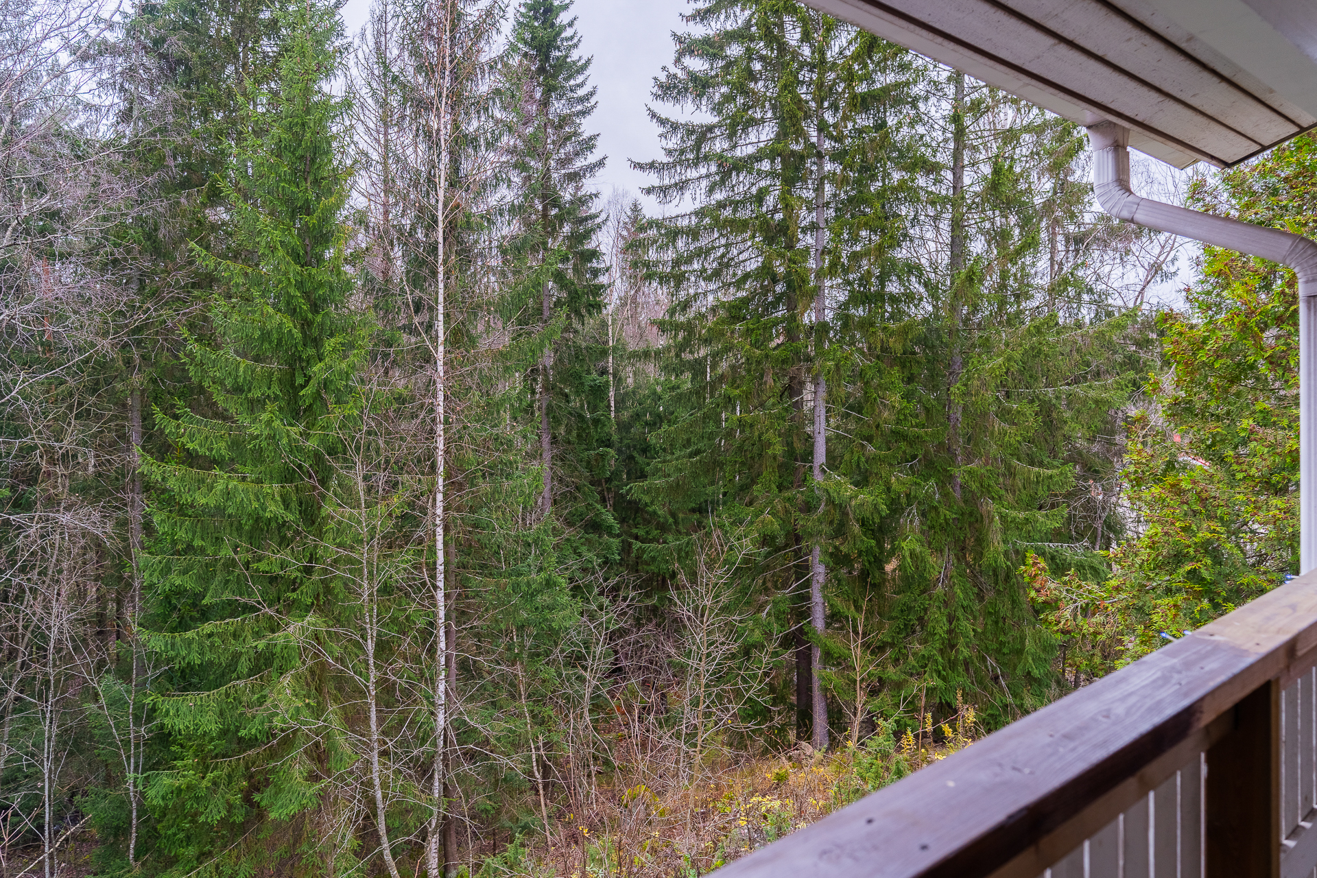 Parveke näkymä