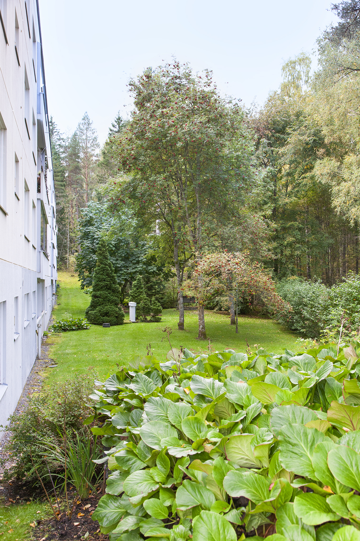 Sointulantie 7, Sointula, Valkeakoski