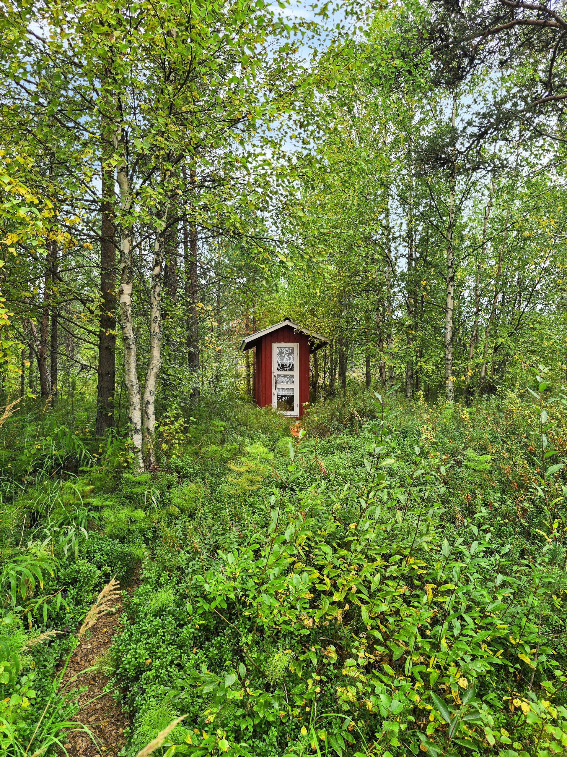 Metsän reunan huussi