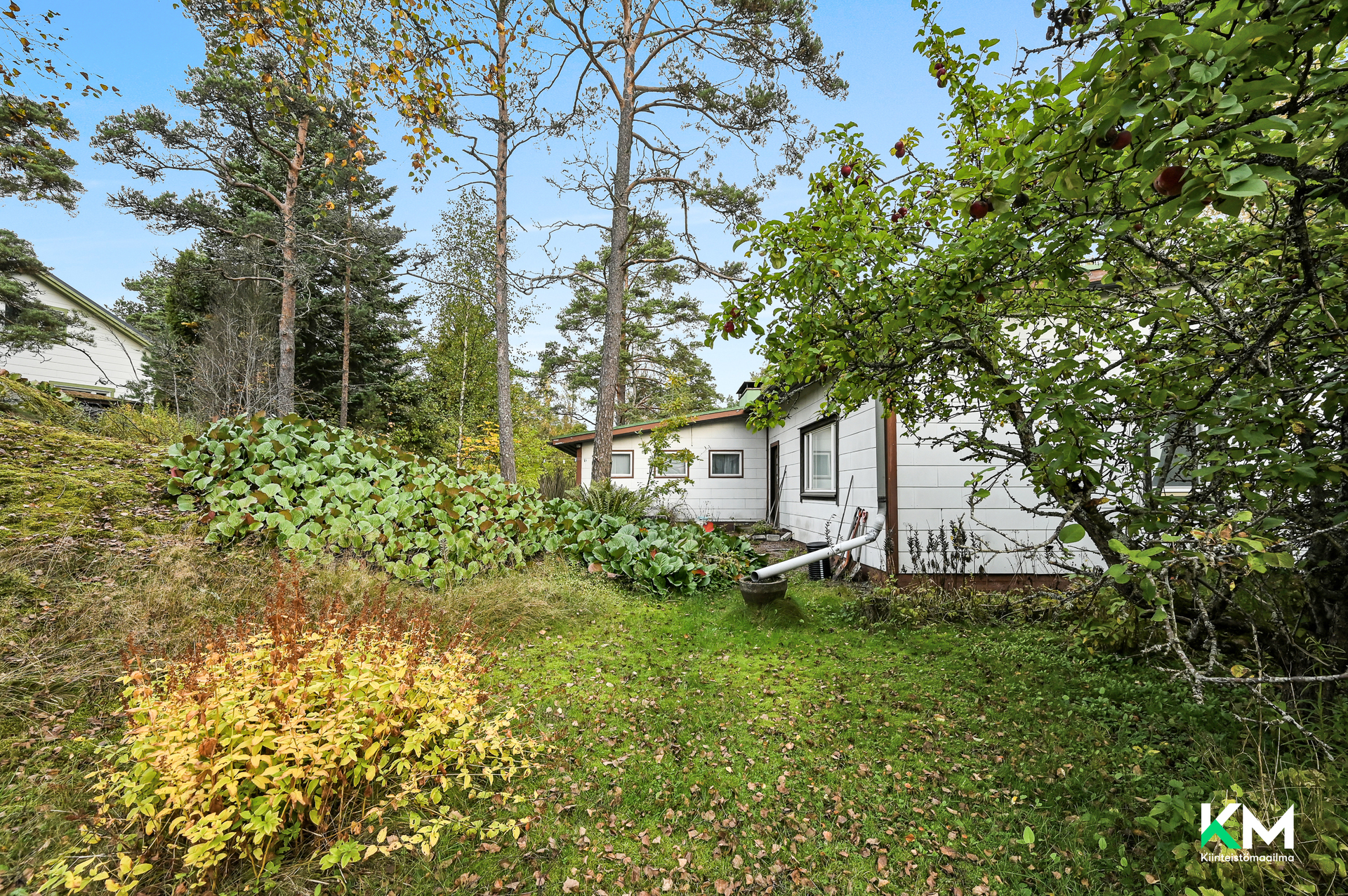 Östergårdintie 2, Österby, Raasepori