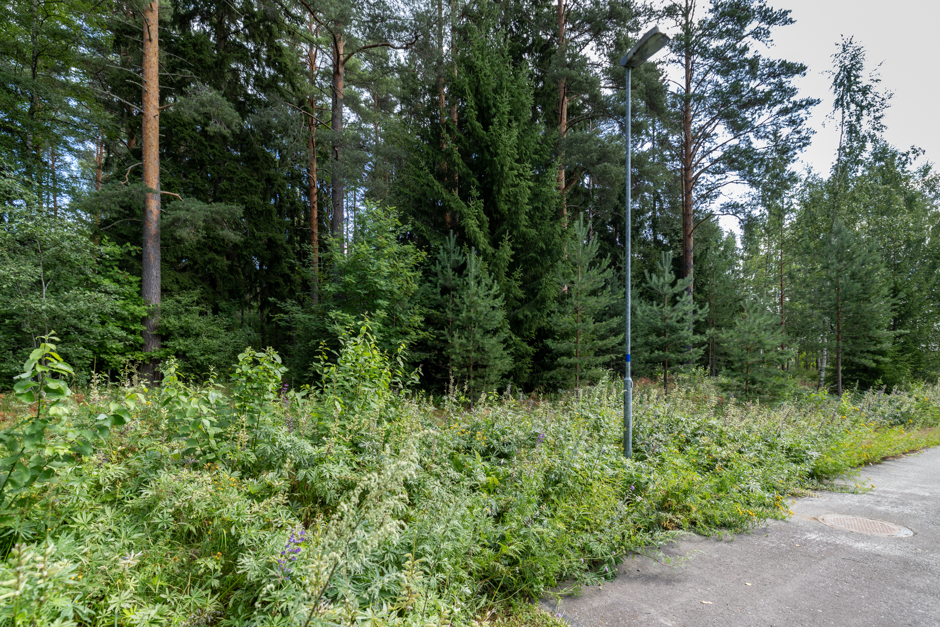 Kiesilänrinne 37, Mikkeli, Visulahti, Mikkeli