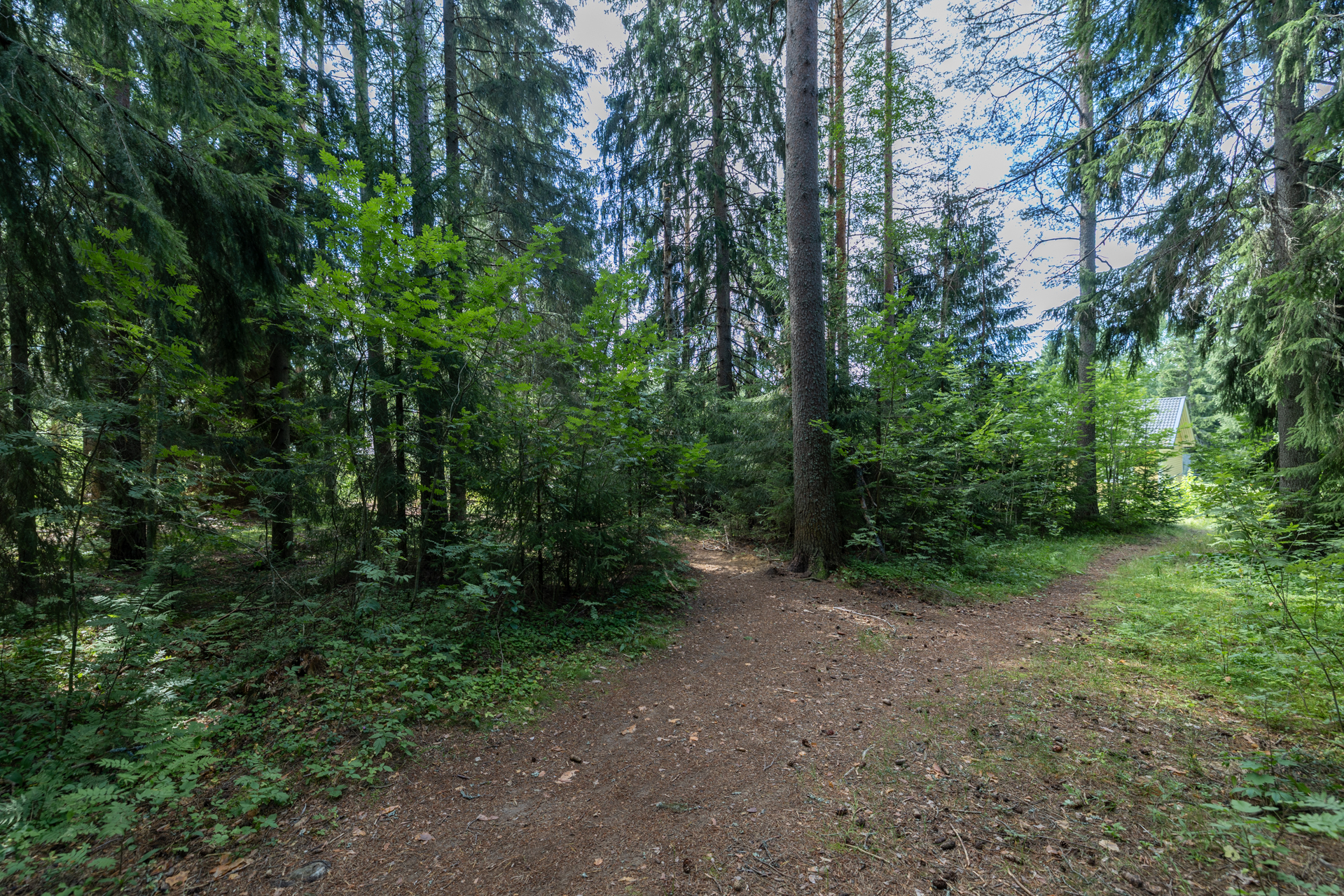 Kiesilänrinne 37, Mikkeli, Visulahti, Mikkeli