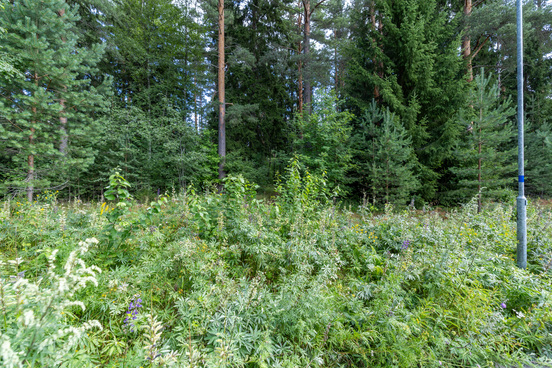 Kiesilänrinne 37, Mikkeli, Visulahti, Mikkeli