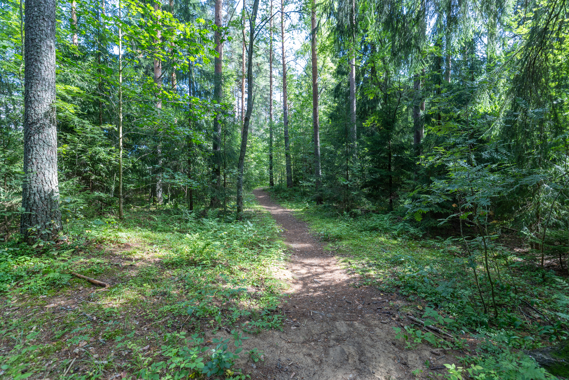 Kiesilänrinne 37, Mikkeli, Visulahti, Mikkeli