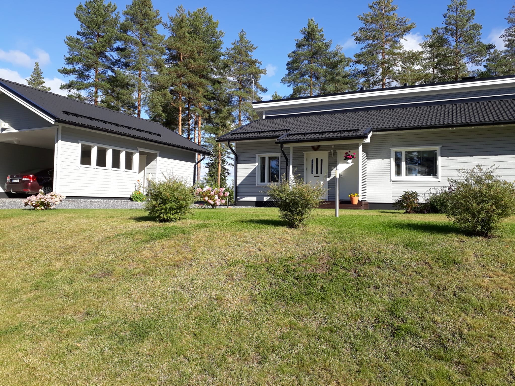 myyjän ottamia kesäkuvia